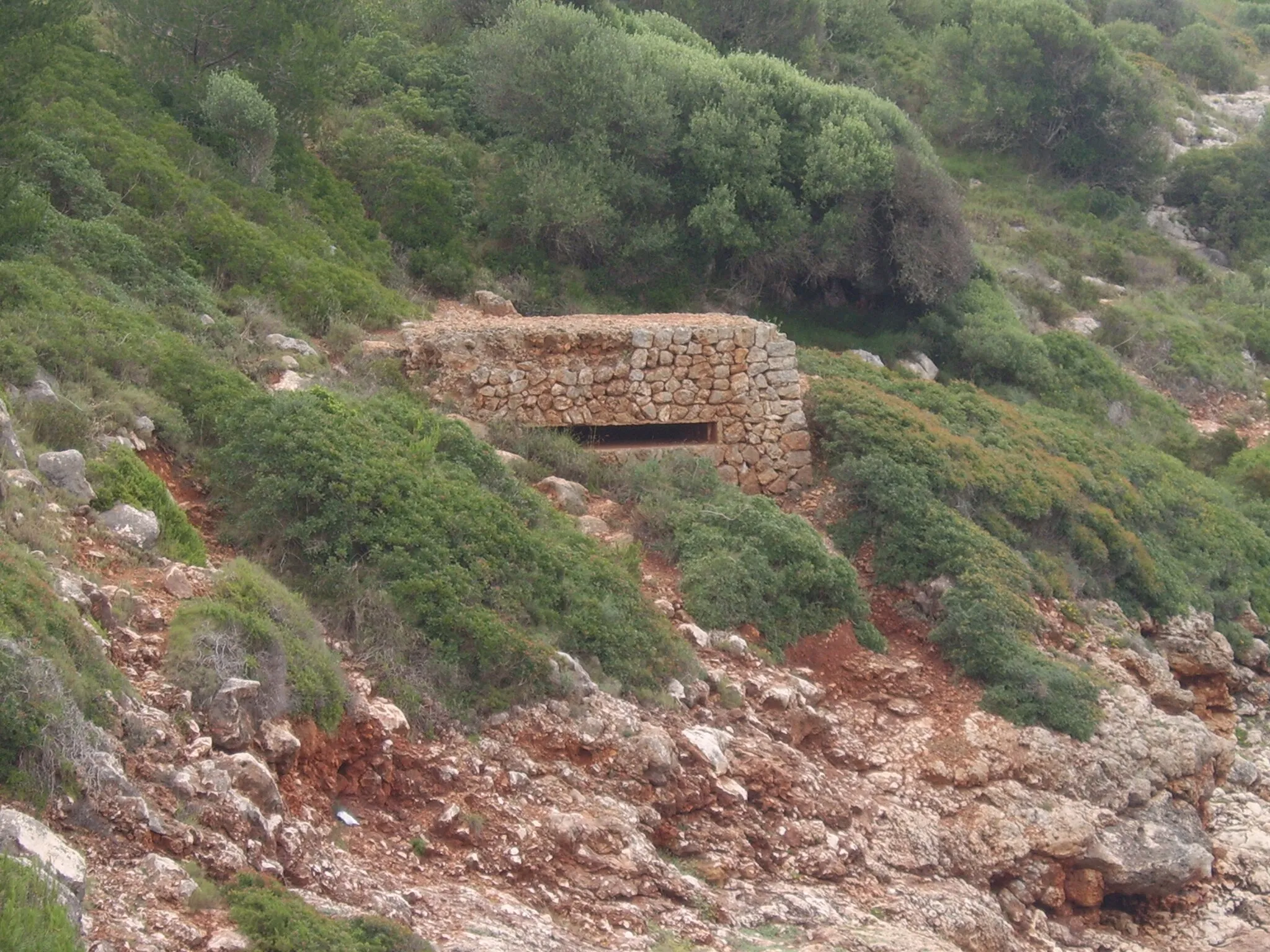 Photo showing: Coves del Drac, Mallorca, near Porto Christo, Province Manacor, Drachenhöhle