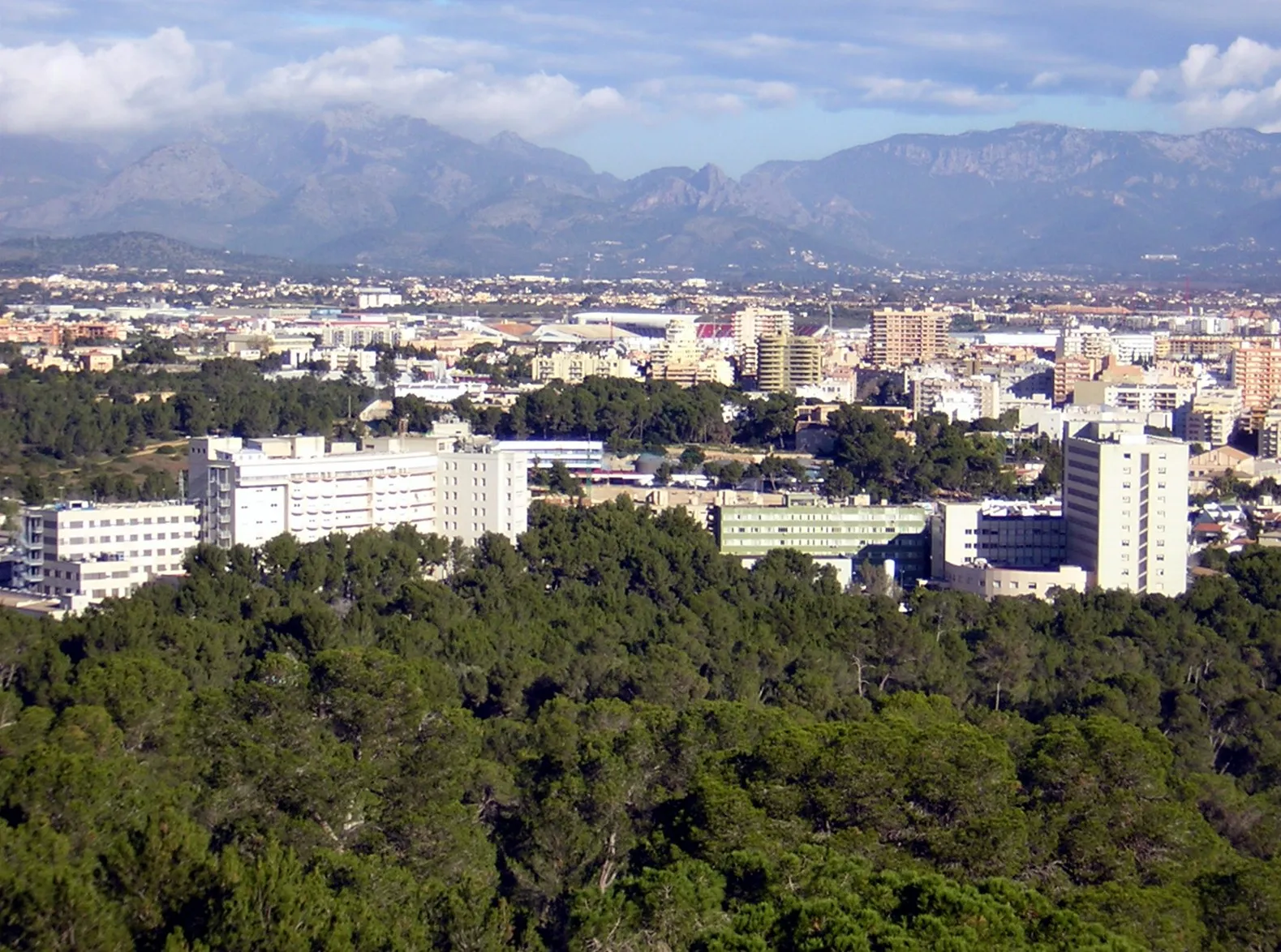 Photo showing: Son Dureta Universitary Hospital