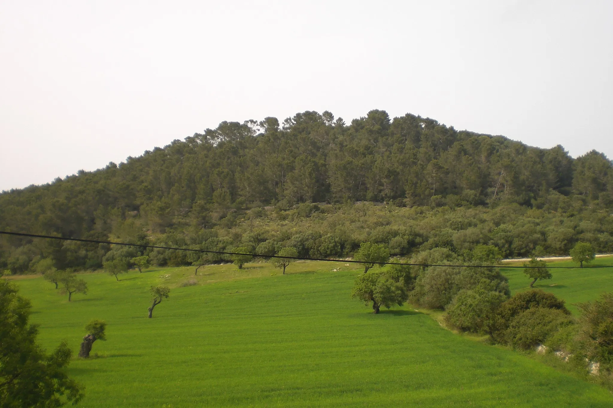 Photo showing: El Puig d'en Bord des de la carretera MA-5017 entre Randa i Montuïri