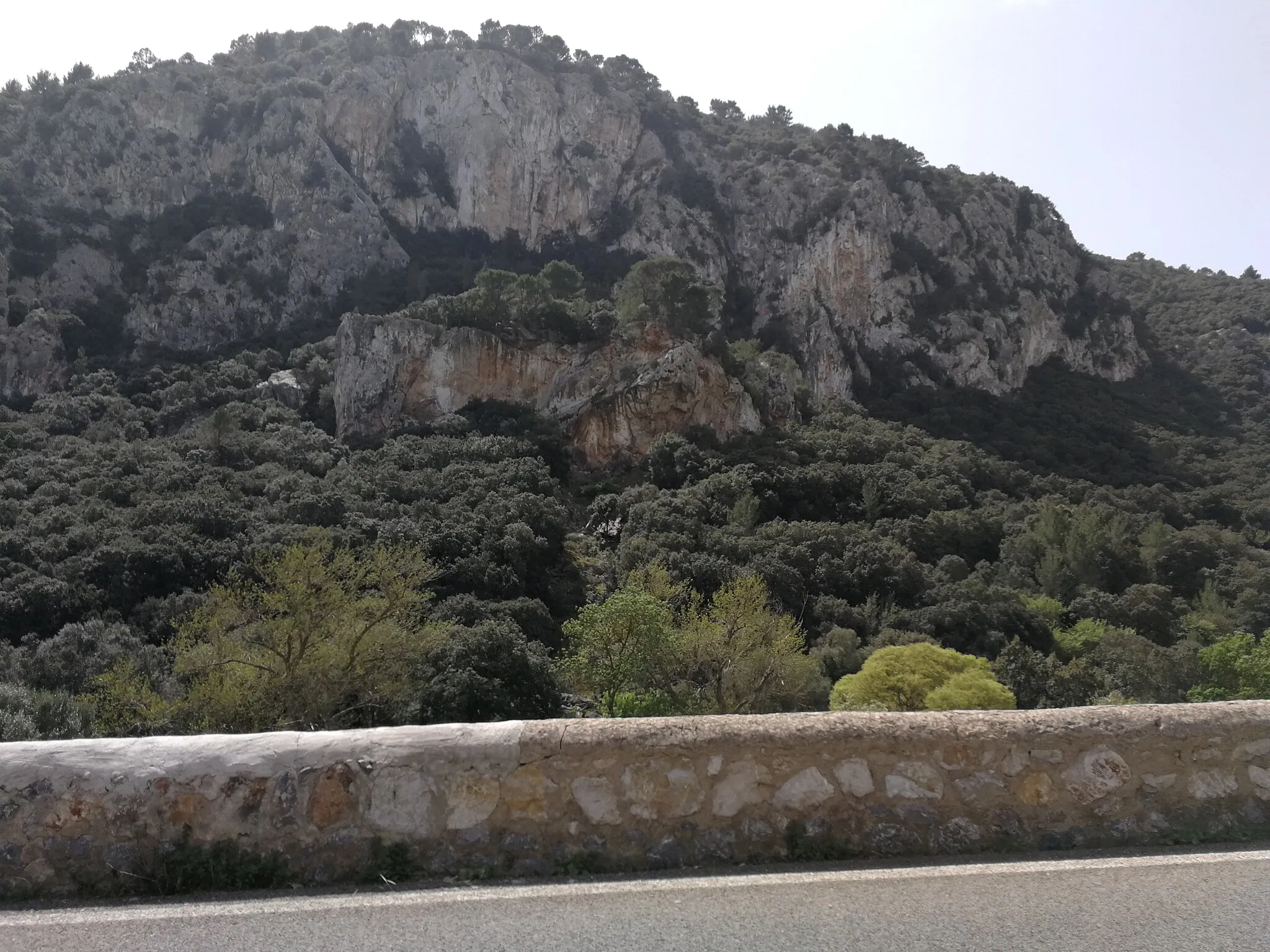 Photo showing: Resta prehistòrica de Son Matge (Valldemossa)