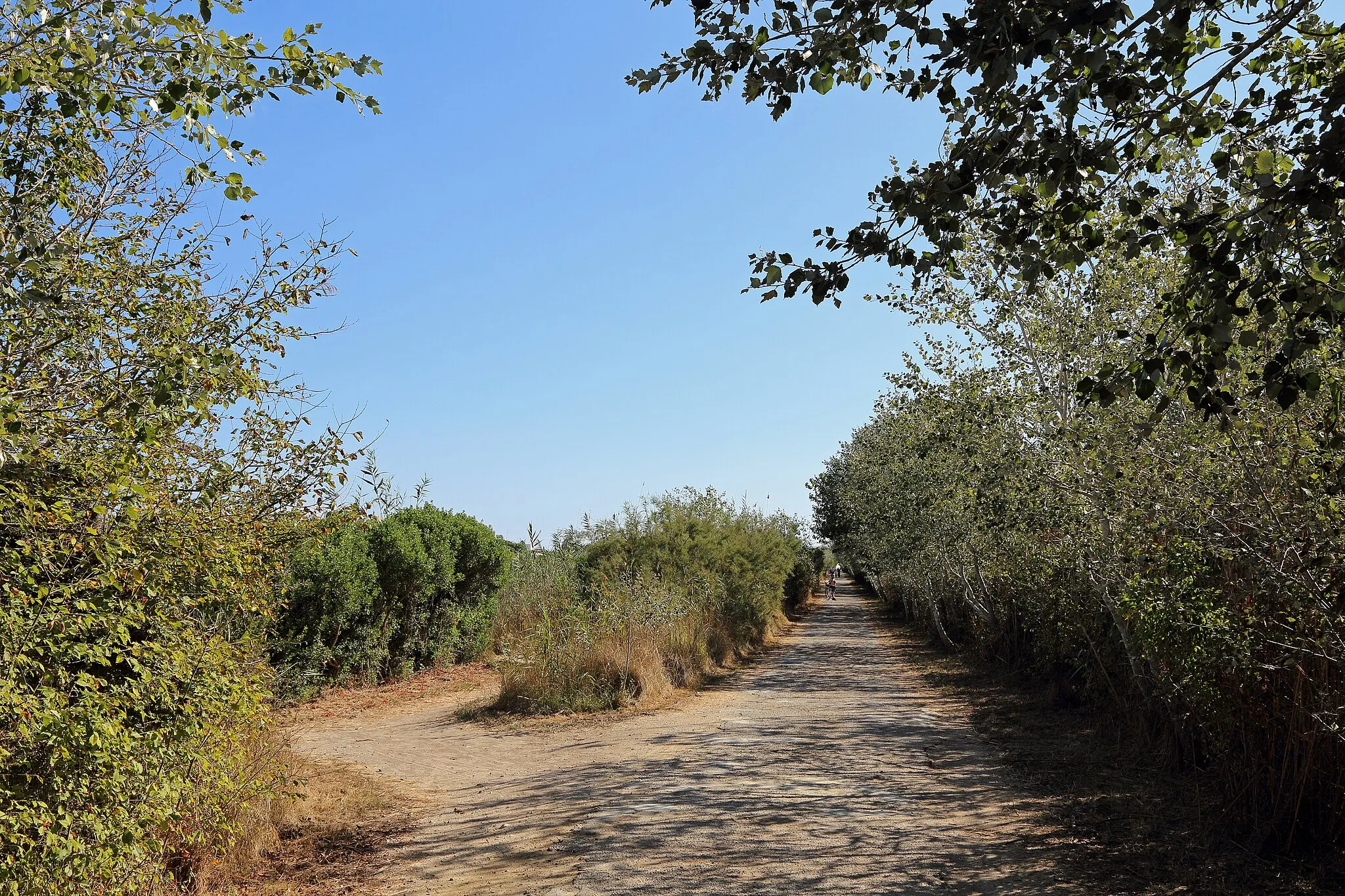 Photo showing: Nature reserve of s'Albufera on the island of Majorca (Spain)