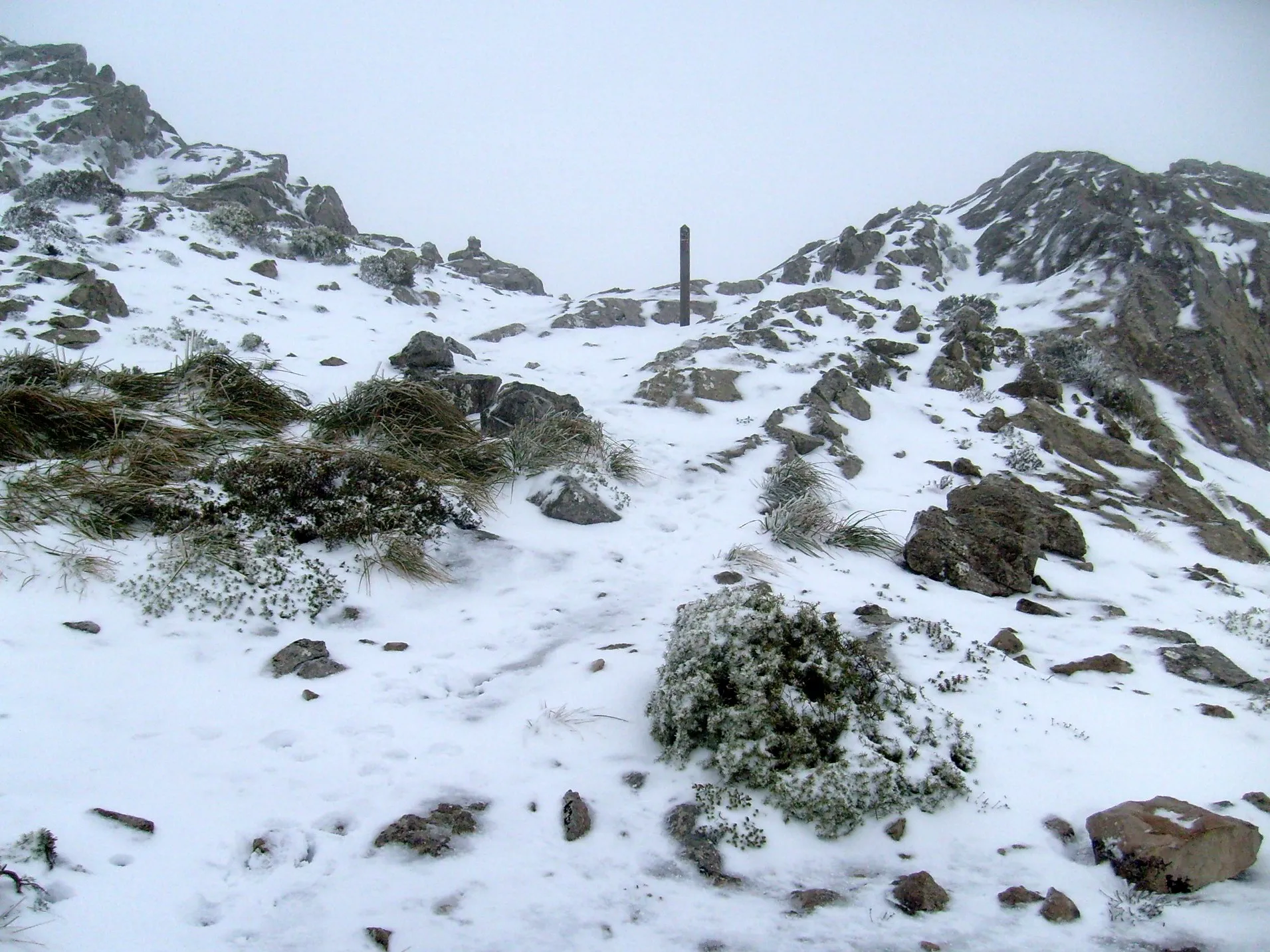 Photo showing: Coll de Ses Cases de Sa Neu