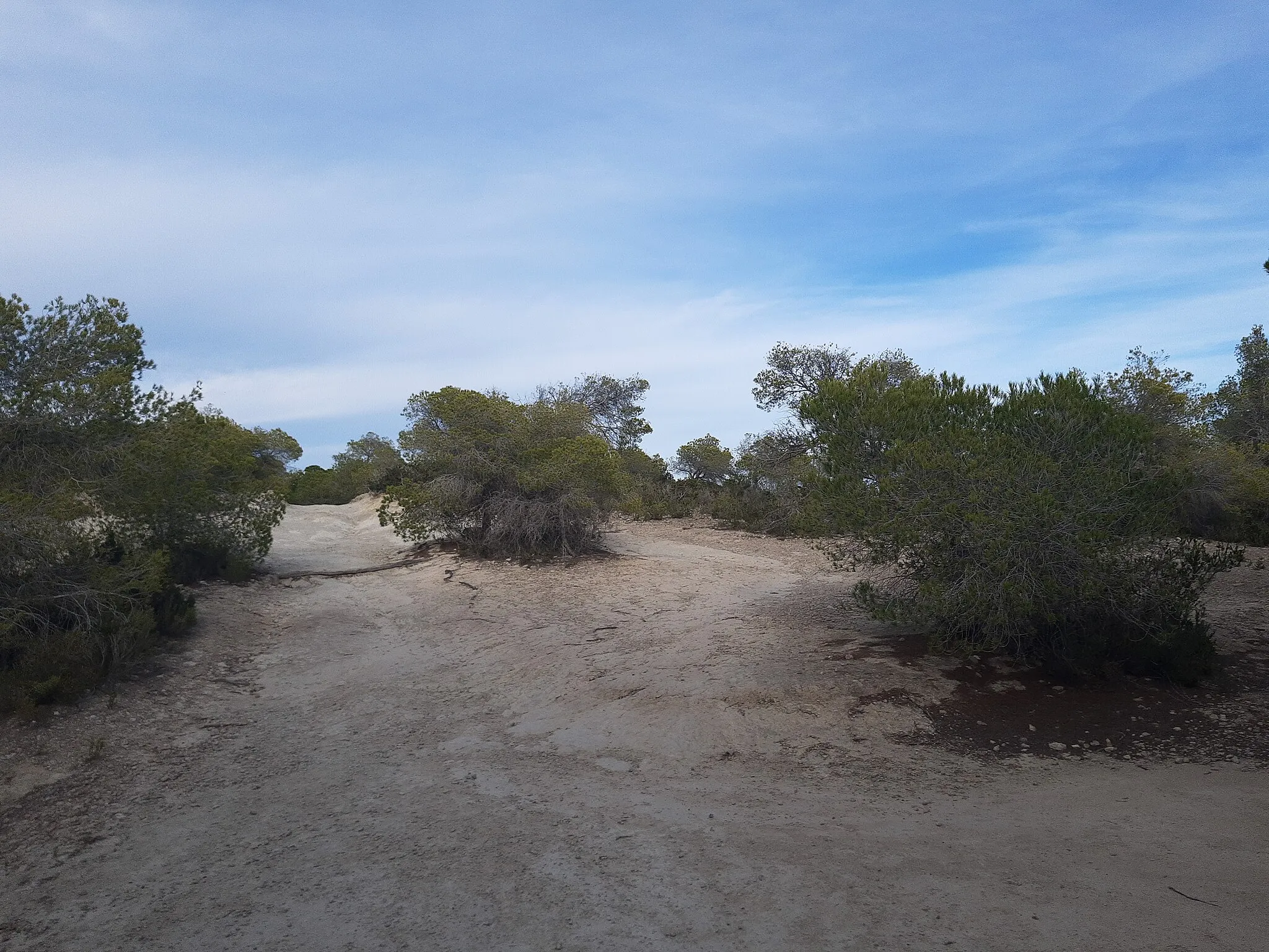 Photo showing: Trail to Torre des Molar, Port de Sant Miguel, Ibiza