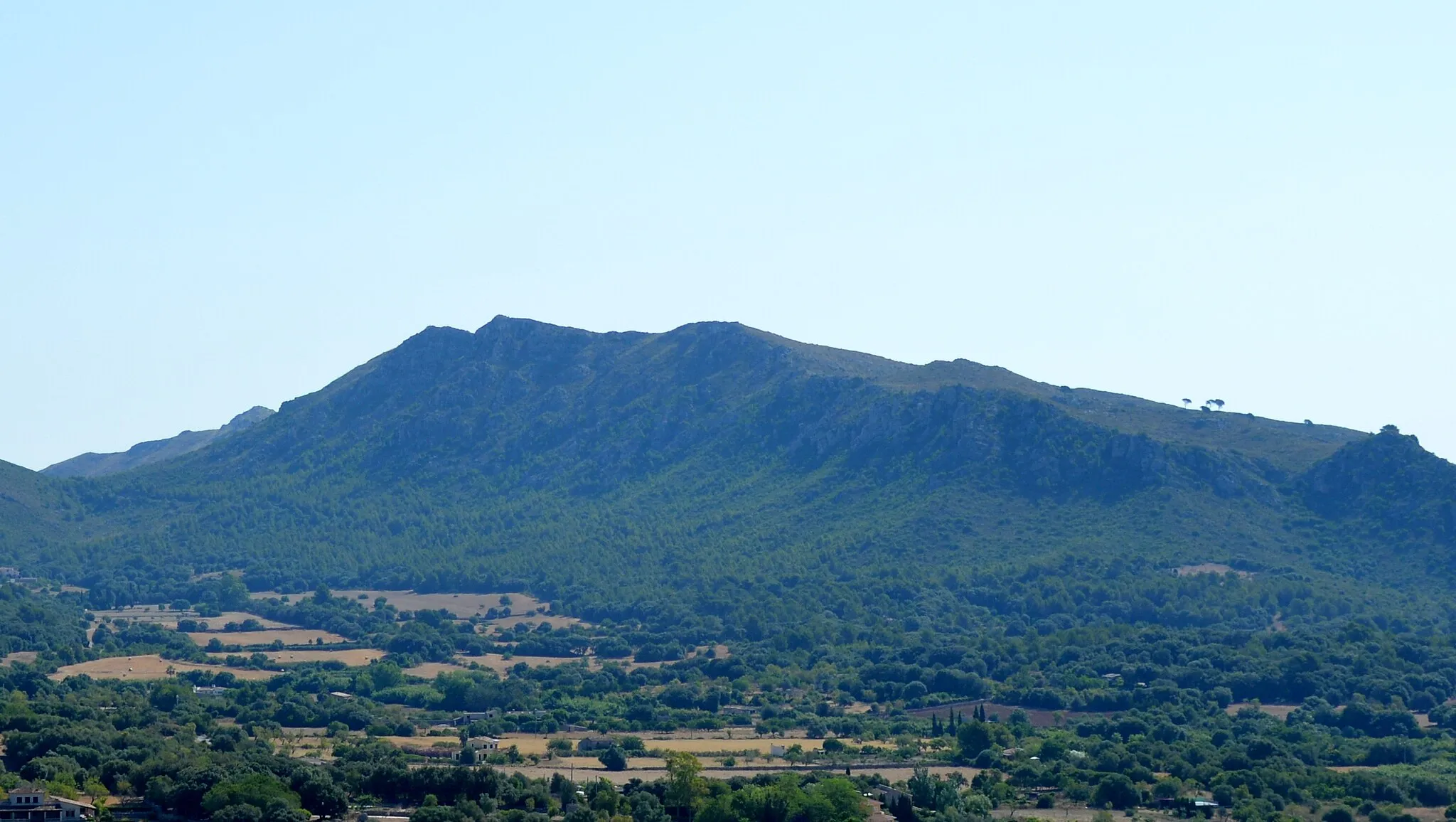 Photo showing: Puig des Raco