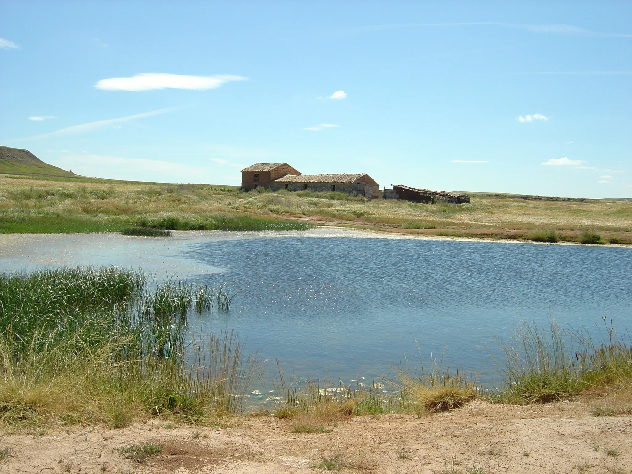 Photo showing: Mendavia. Navarra. Campos