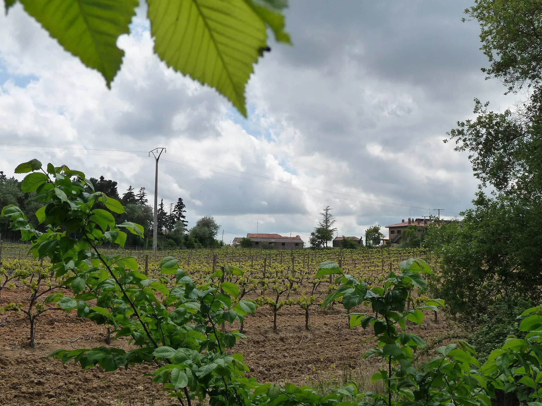 Photo showing: Finca de Ternero, Burgos (España)