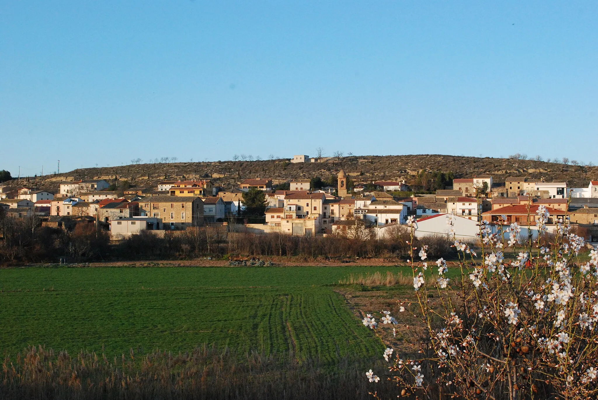 Photo showing: Visión frontal de Lazagurría