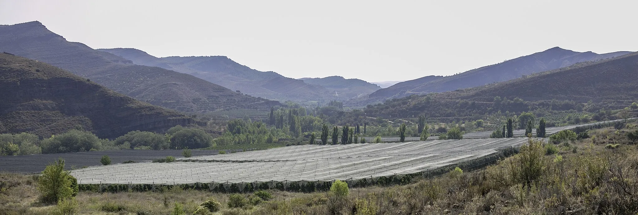 Photo showing: Fruit trees protected against hail, La Rioja, Spain