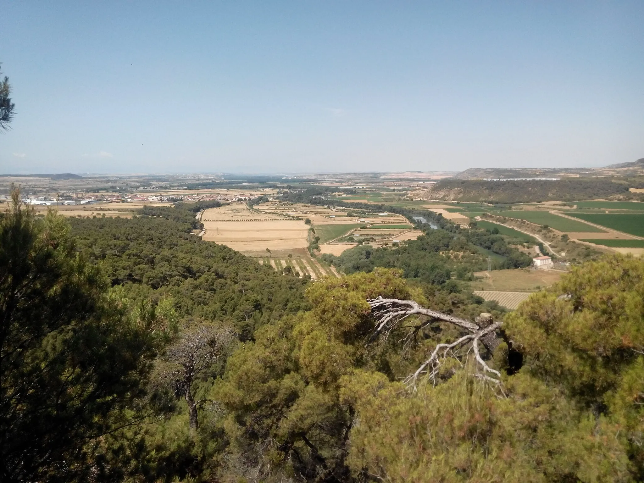 Photo showing: Vista de Carcastillo desde Larrate