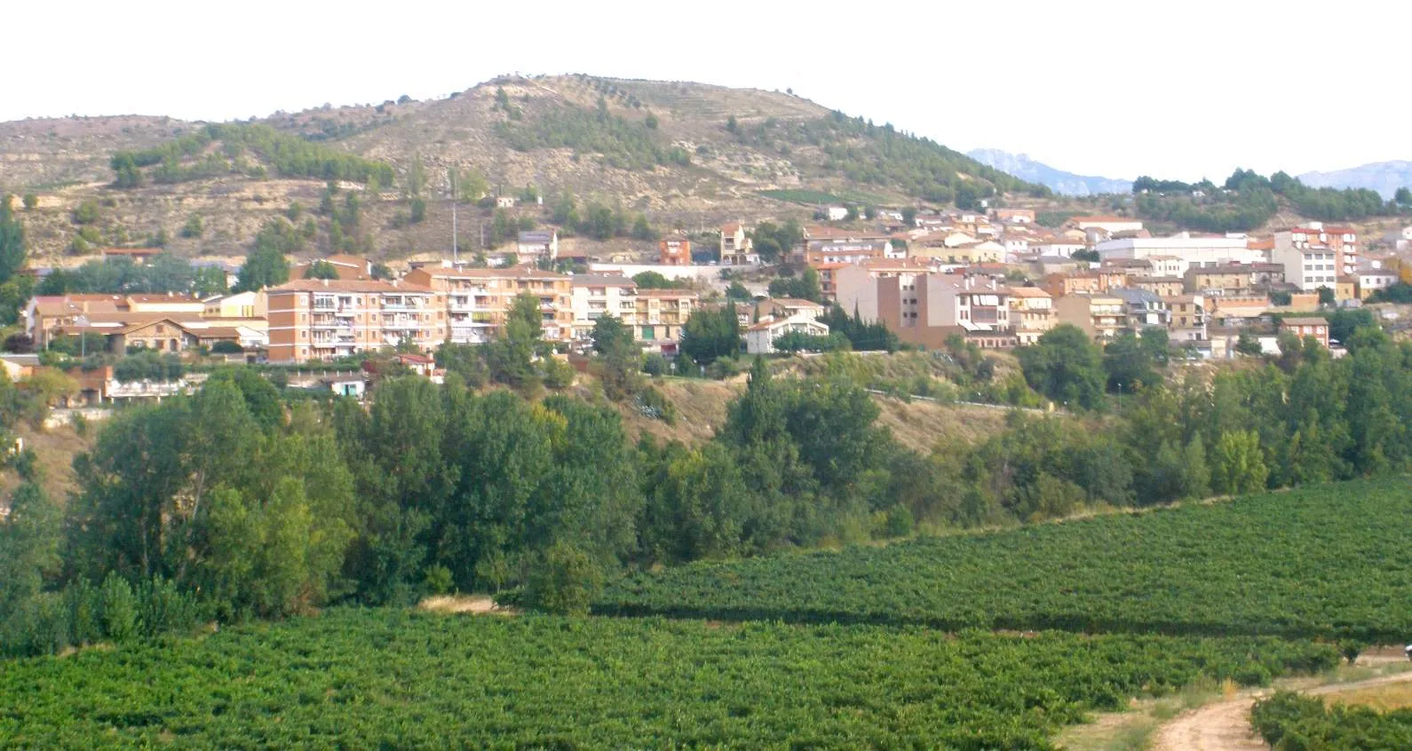 Photo showing: Lapuebla de Labarca (Álava)