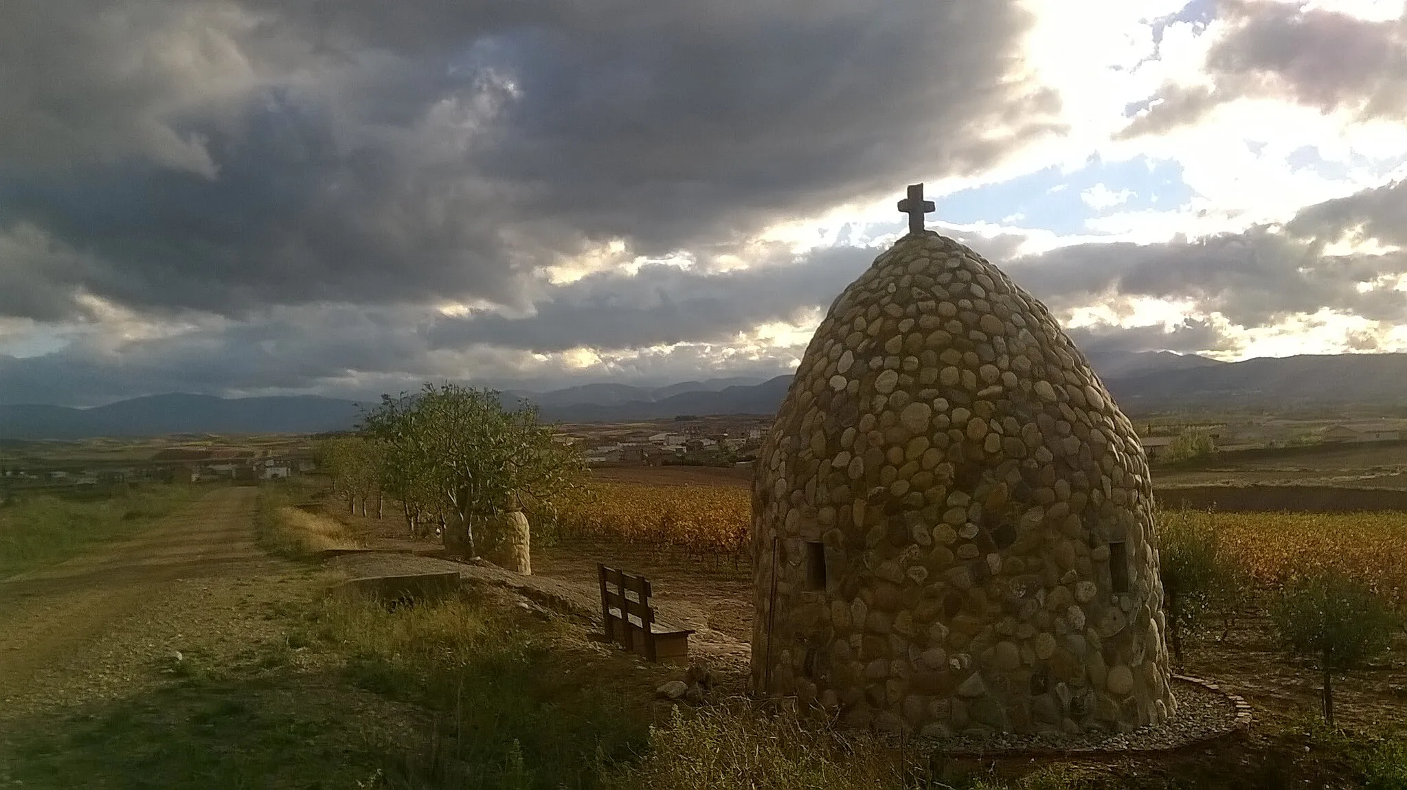 Photo showing: hormilla in autumn