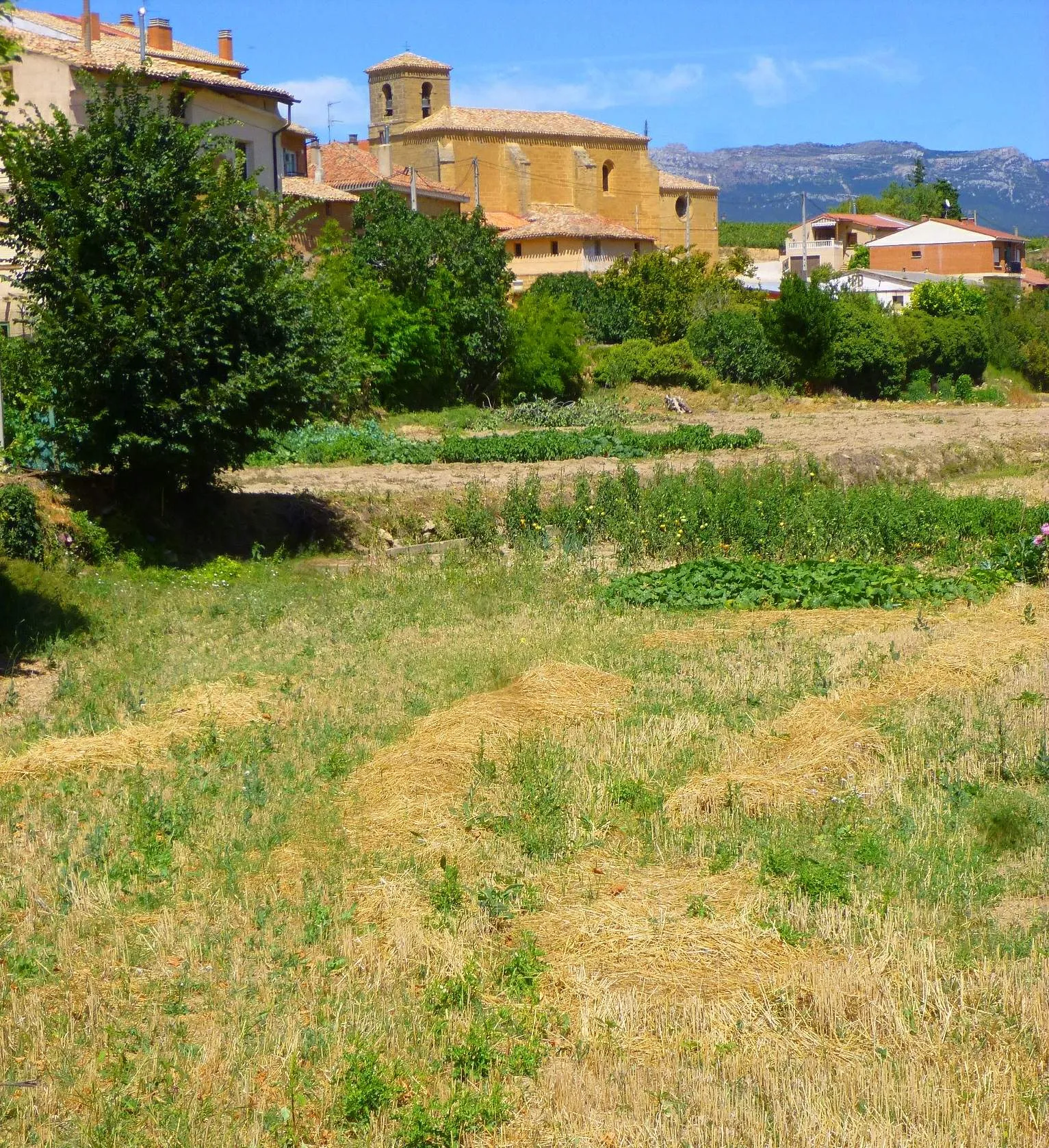 Photo showing: Gimileo (La Rioja)