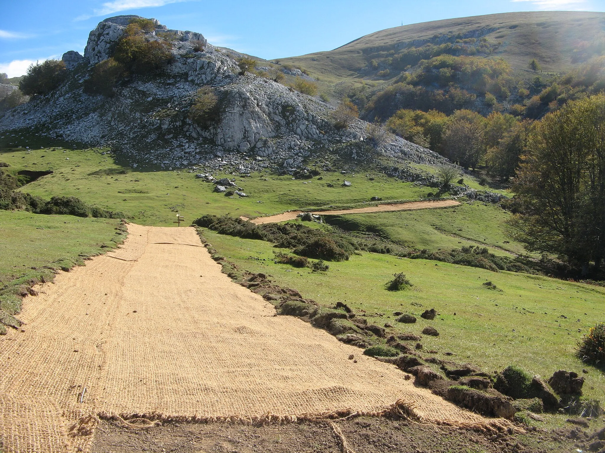 Photo showing: Haciendo el camino. Hayedo de Eguiriñao