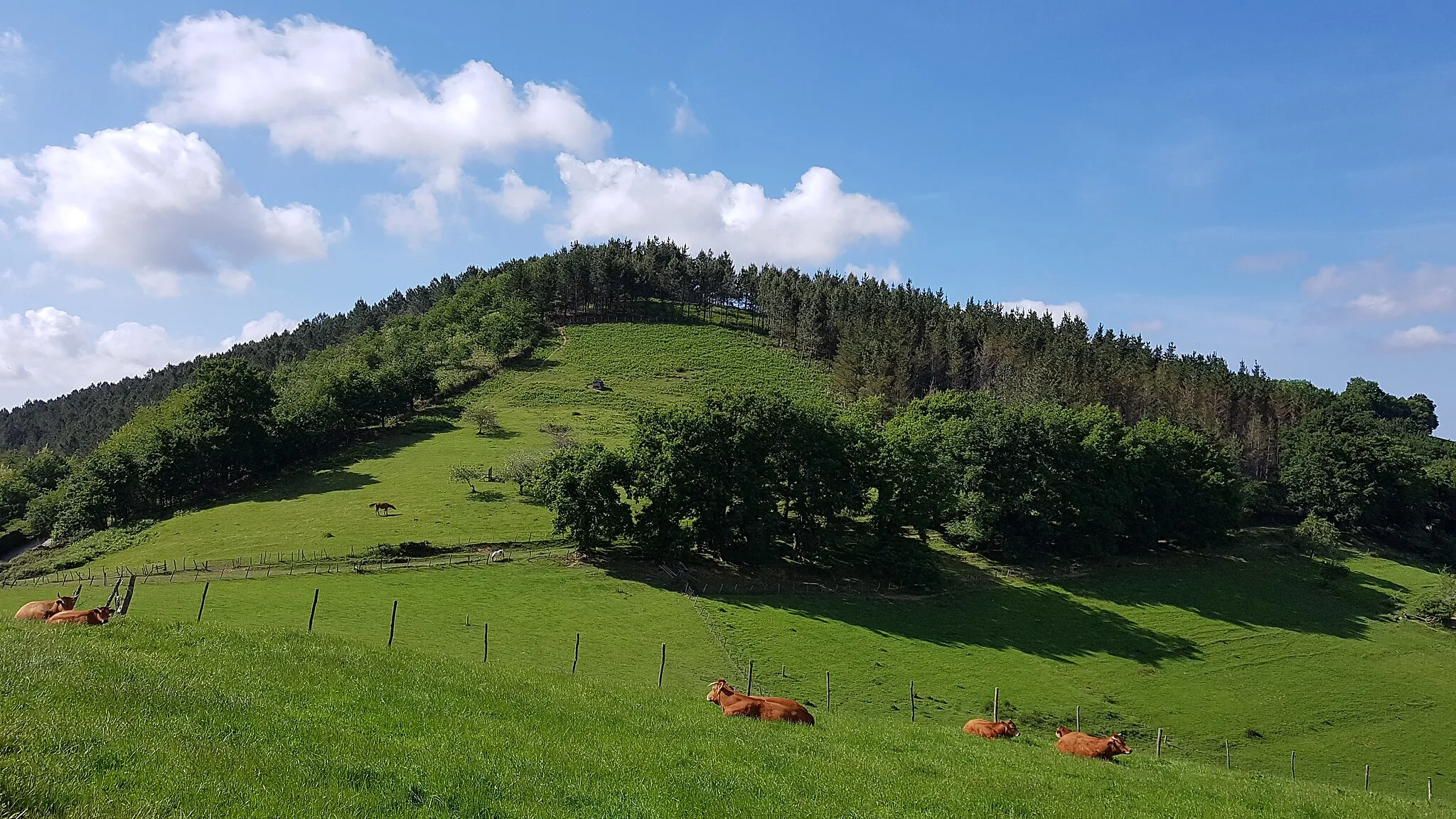 Photo showing: Lasarte-Oriako Benedika mendiaren tontorra hegoaldetik