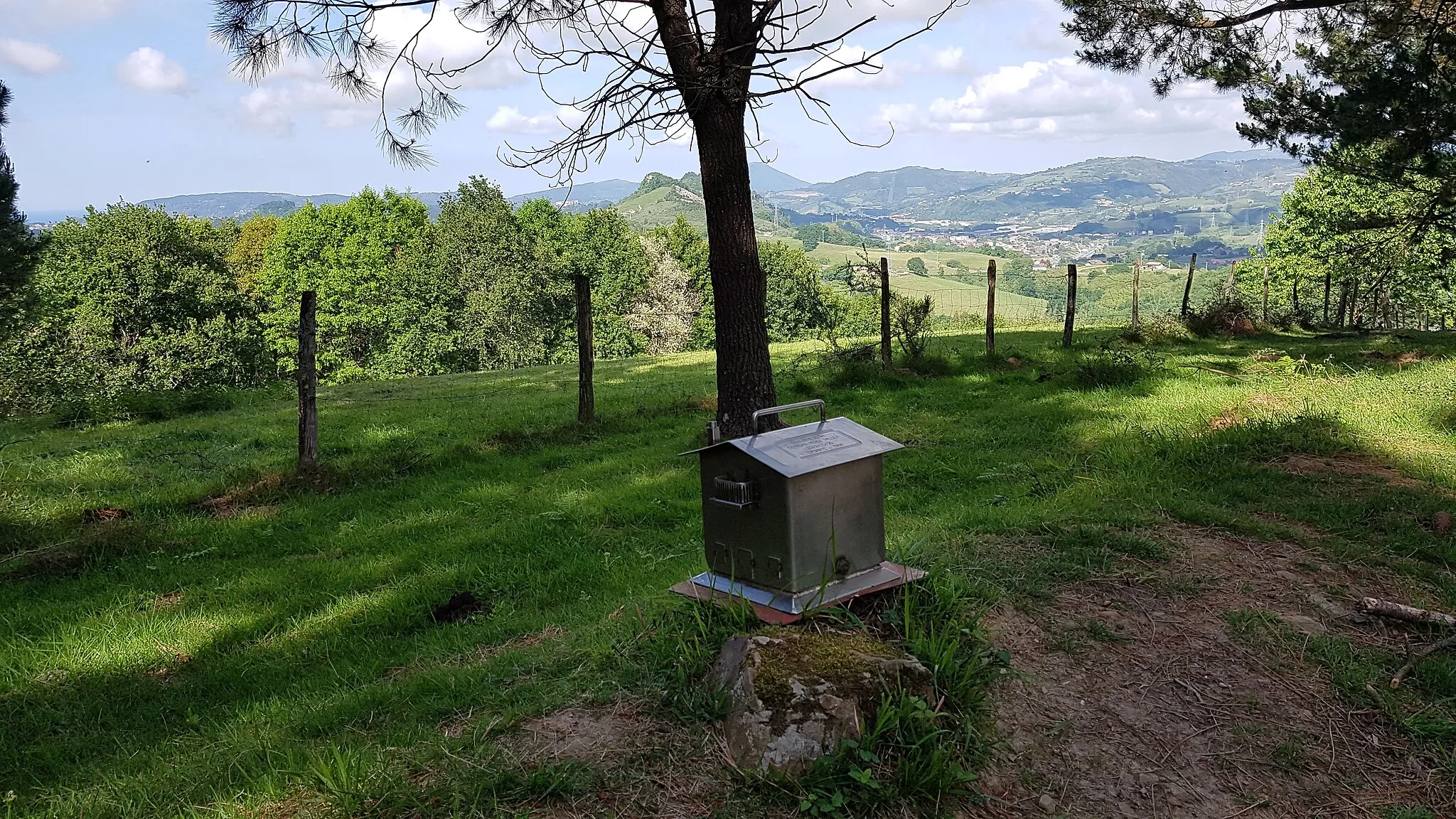 Photo showing: Lasarte-Oriako Benedika mendiko buzoia