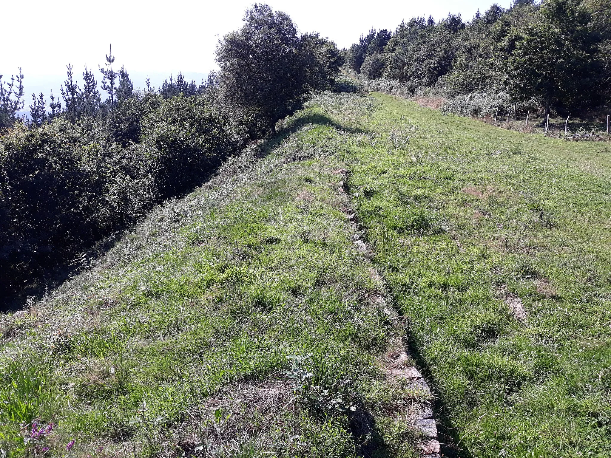 Photo showing: Vista general del montículo formado por el derrumbe y la estructura enterrada de la muralla anexa a la puerta Sur del castro u Oppidum de Arrola o Marueleza, en Navárniz