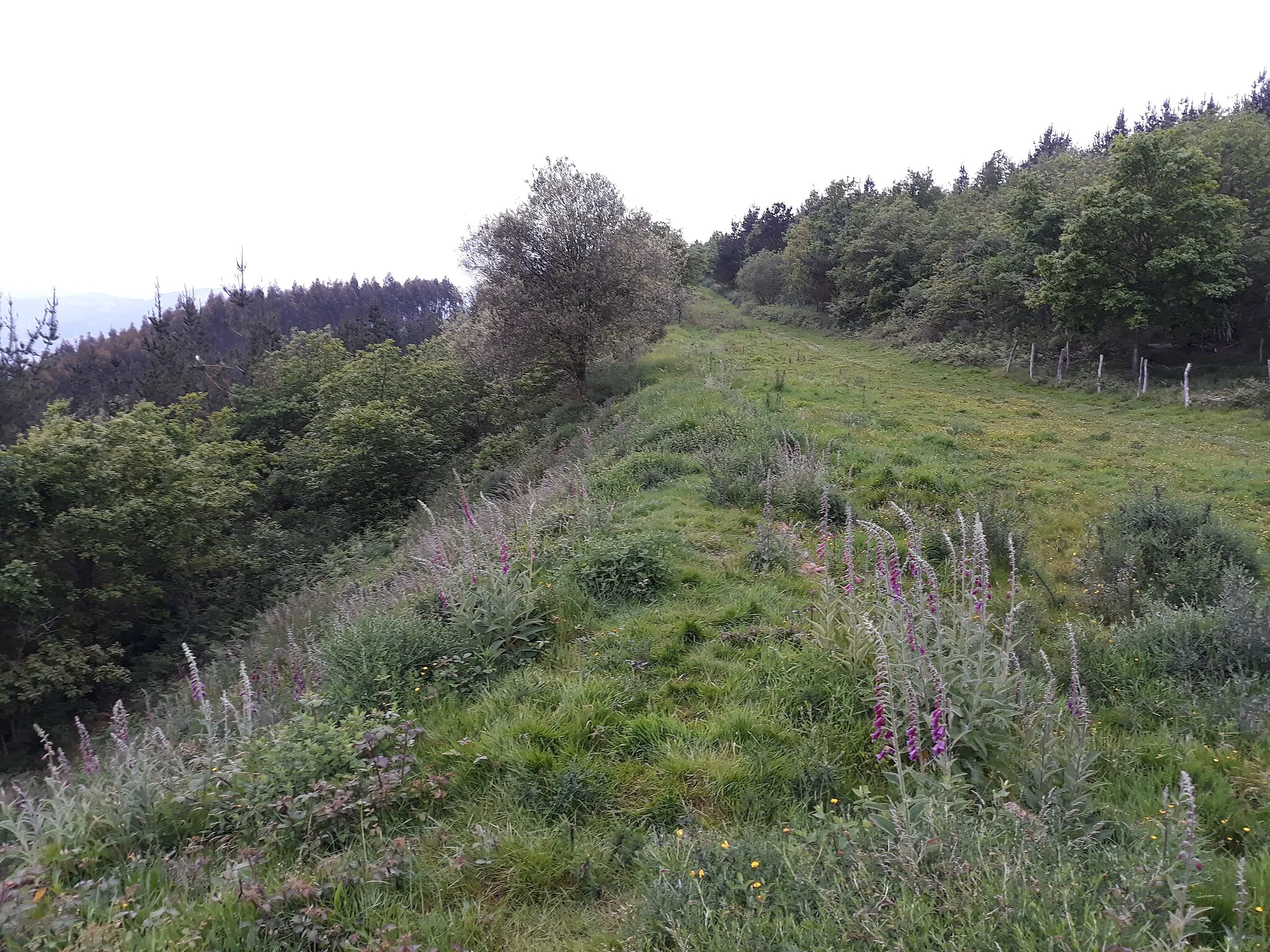 Photo showing: Vista del montículo formado por el derrumbe y la estructura enterrada de la muralla anexa a la puerta Sur del castro u Oppidum de Arrola o Marueleza, en Navárniz