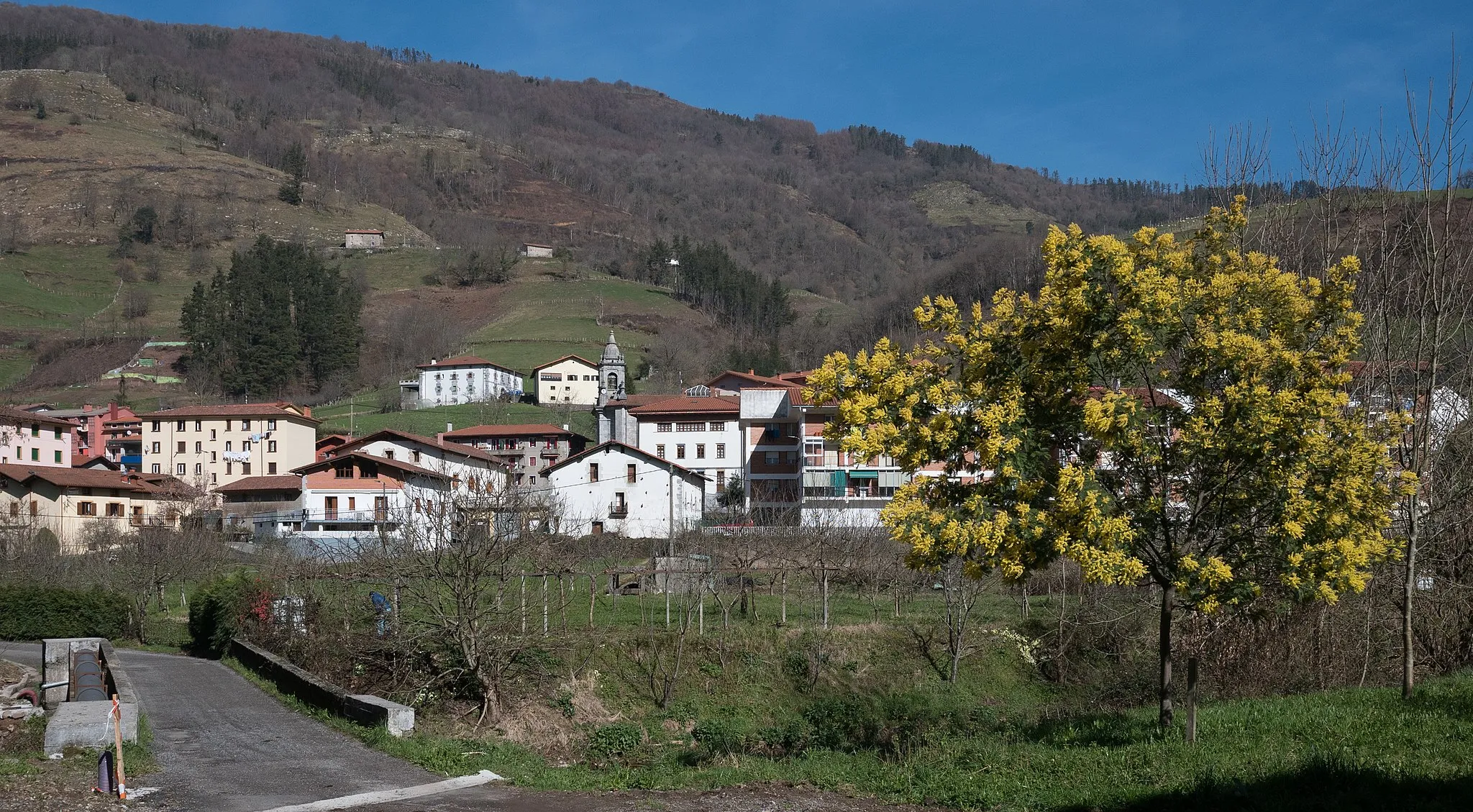 Photo showing: View of Berrobi. Gipuzkoa, Basque Country,Spain