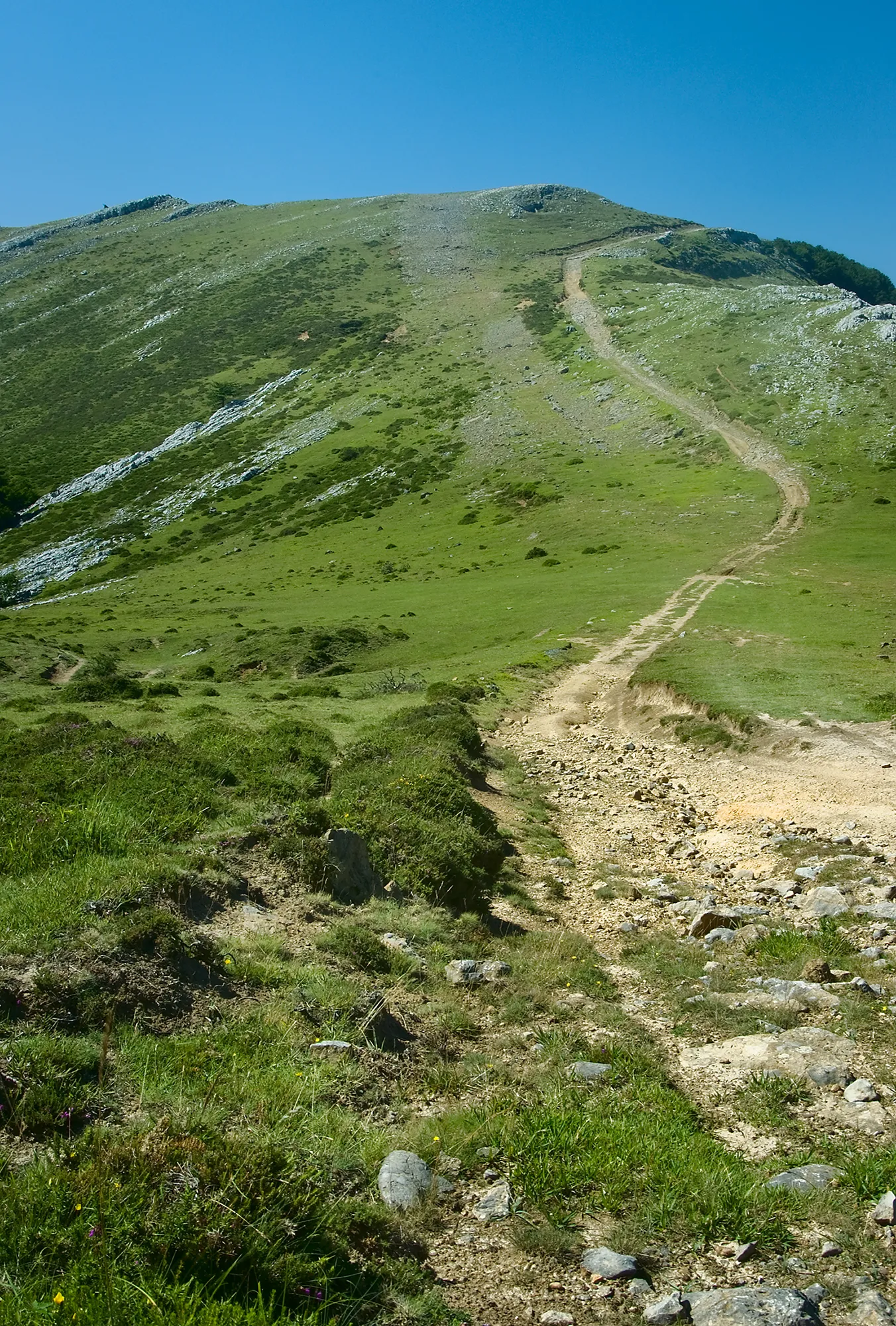 Photo showing: Arlutz mendi ondotik igarotzen den bidea.