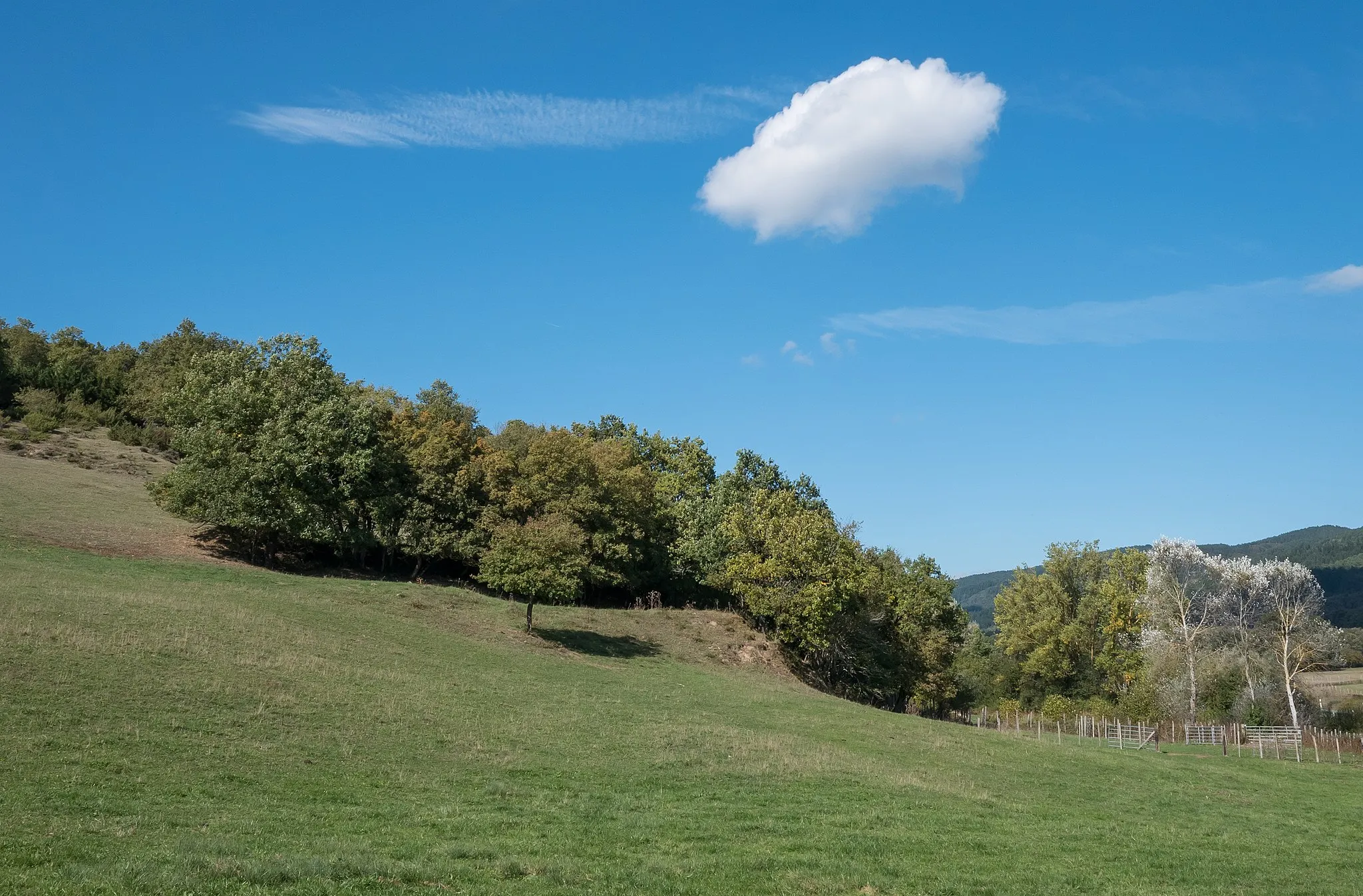 Photo showing: Landscape near Marieta. Álava, Basque Country, Spain