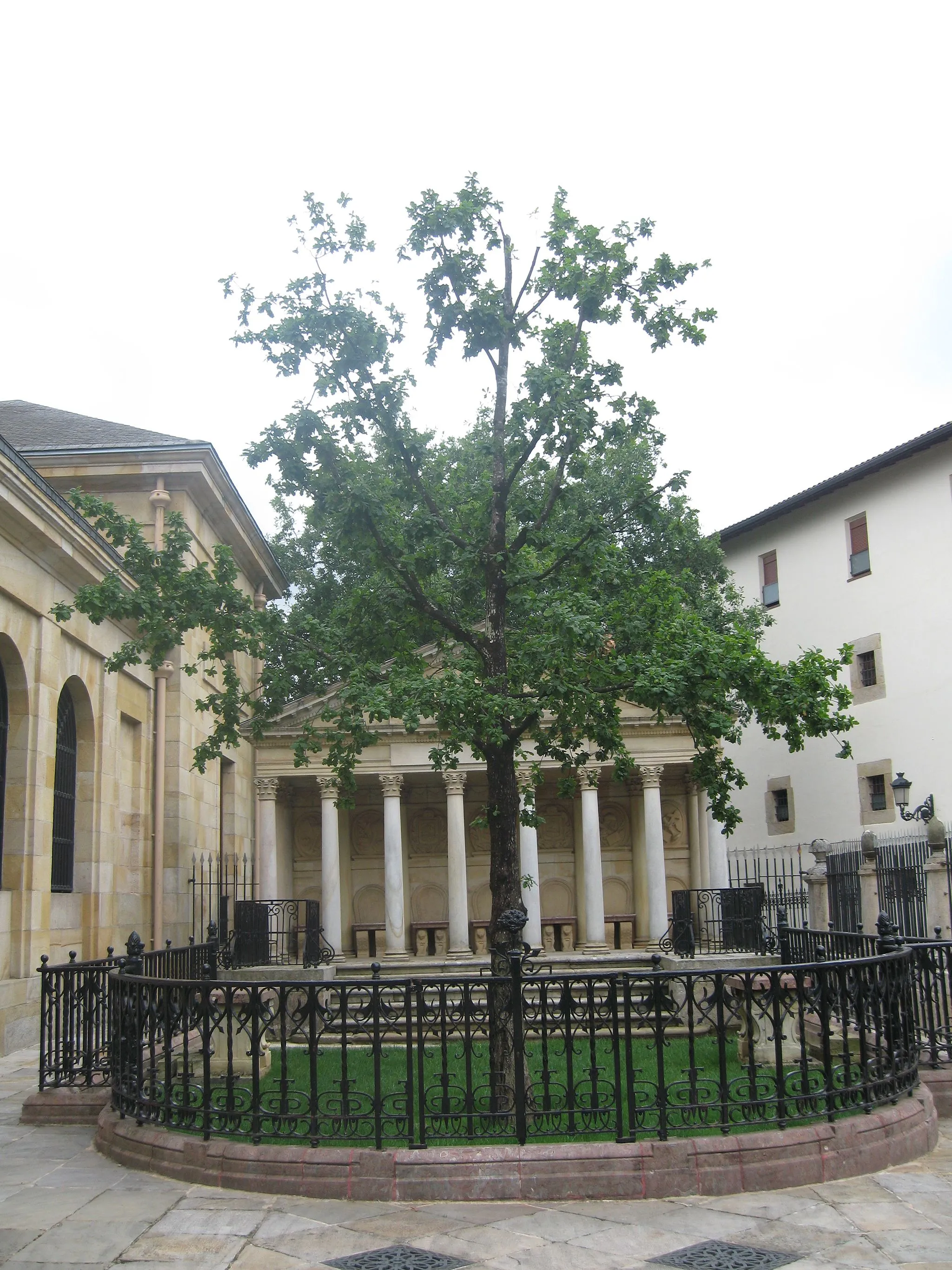 Photo showing: Arbol representativo de las libertades de Vizcaya. El original ya no esta presente, en su lugar hay plantado un retoño del mismo.