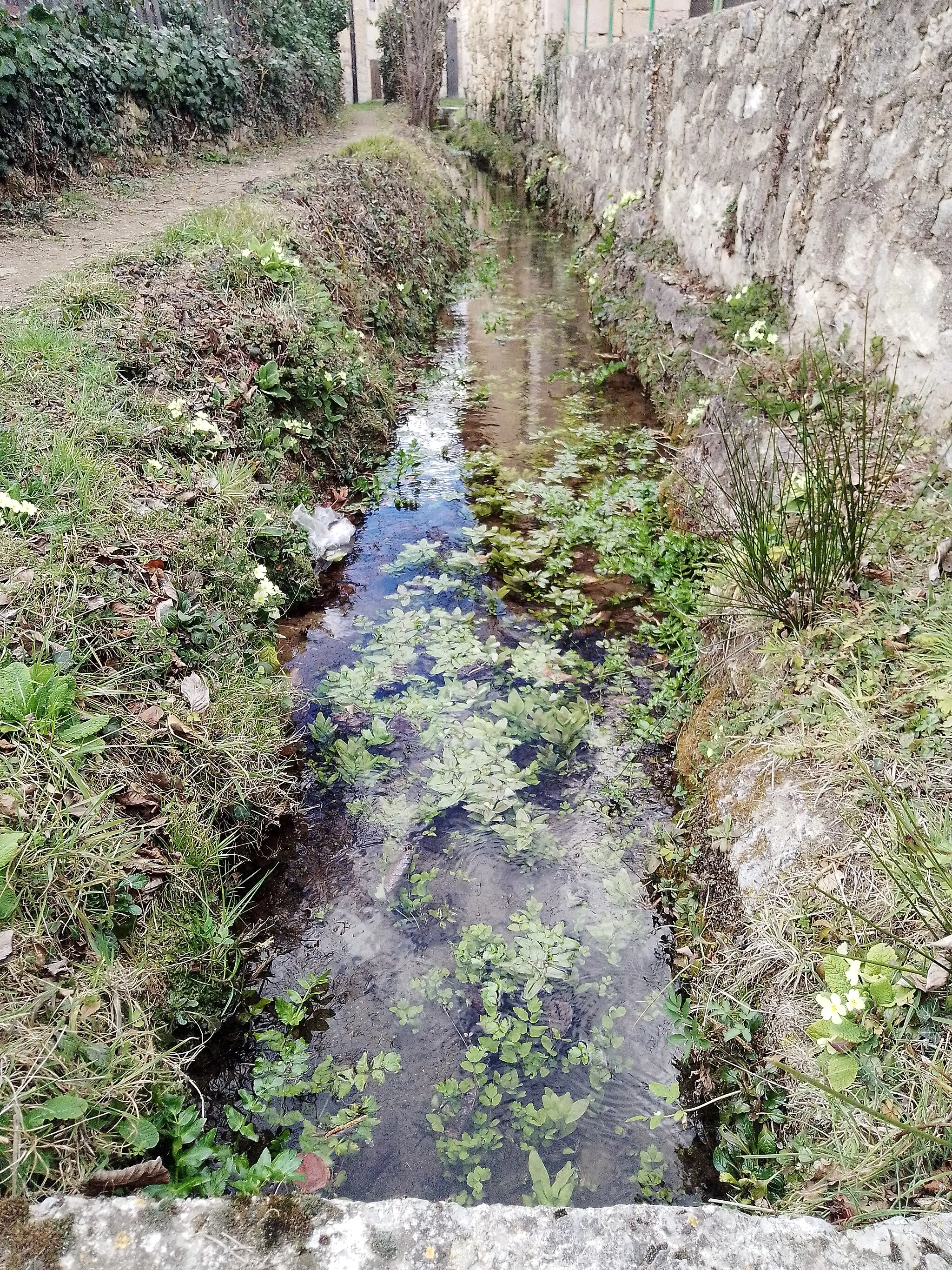 Photo showing: el río Barrundia que también viene de Laño, al aproximarse a Albaina, se desvío una parte para el riego de las huertas y para surtir el molino que se encuentra en el centro del pueblo.