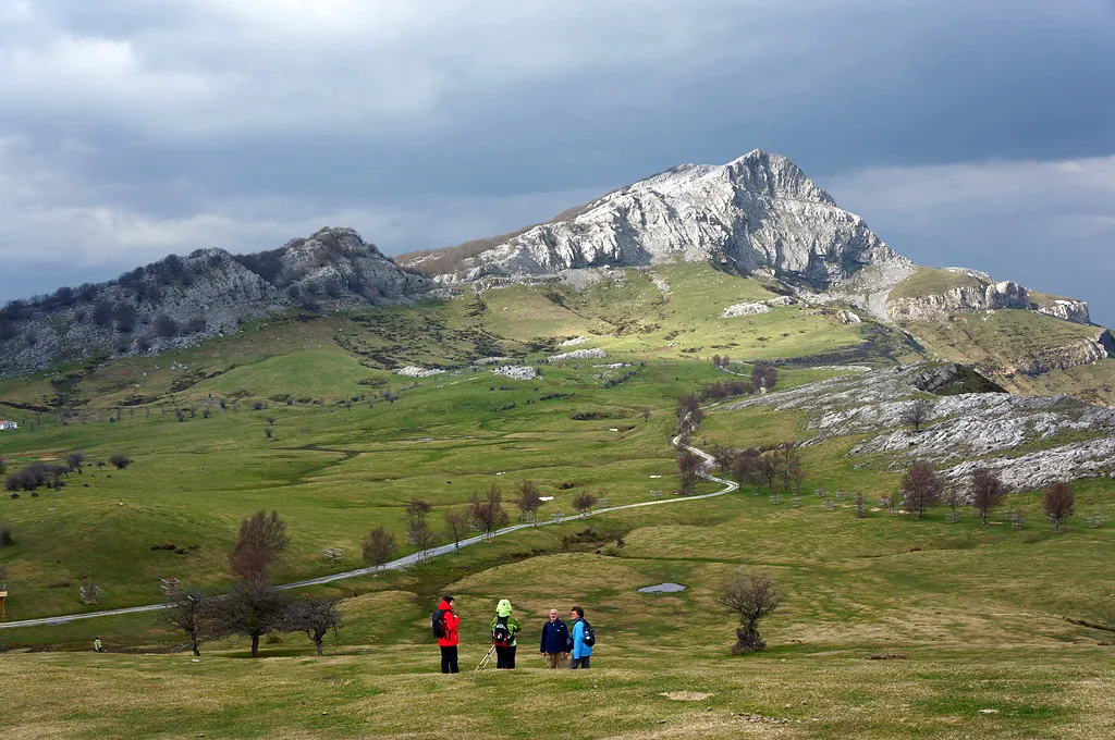 Photo showing: Arrabako zelaiak Gorbeian-