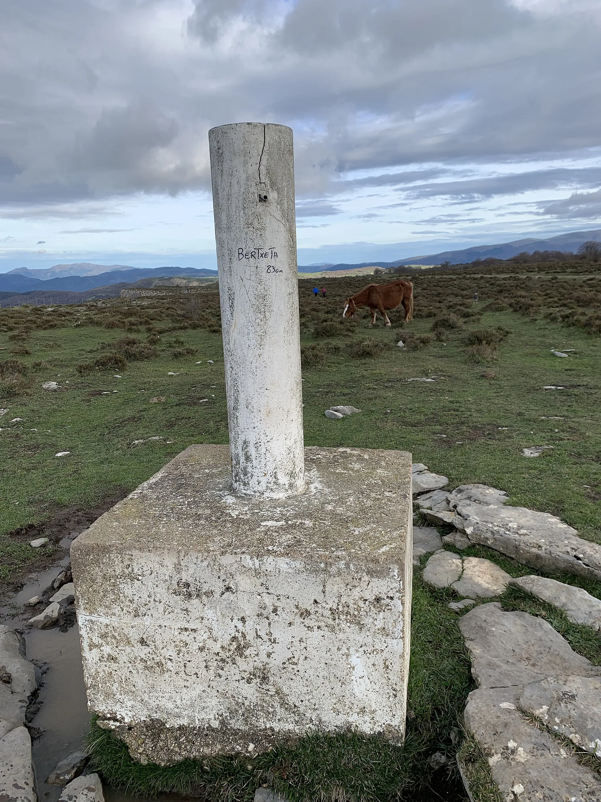 Photo showing: Cima Bertxeta o Bertzeta, 830 m. En Álava, zona Gibijo, Cima de la Sierra Salvada.