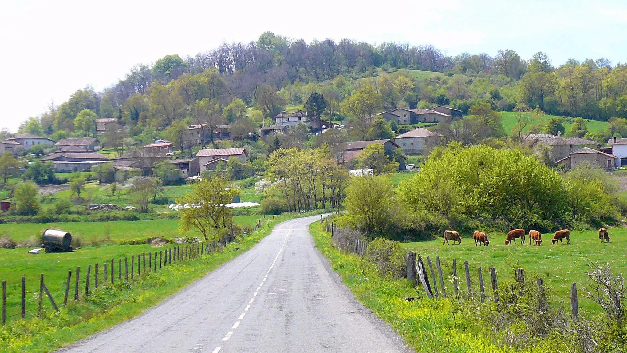 Photo showing: Lukiano (Zuia, Álava)