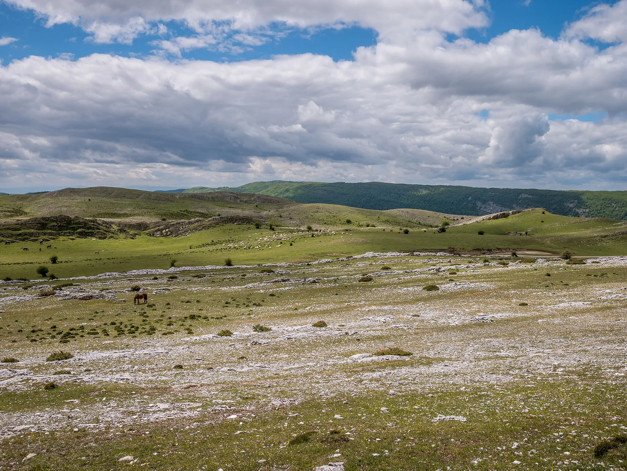Photo showing: Rasos de Saratsa: mountain pastures at the Andia mountain range. Navarre, Spain