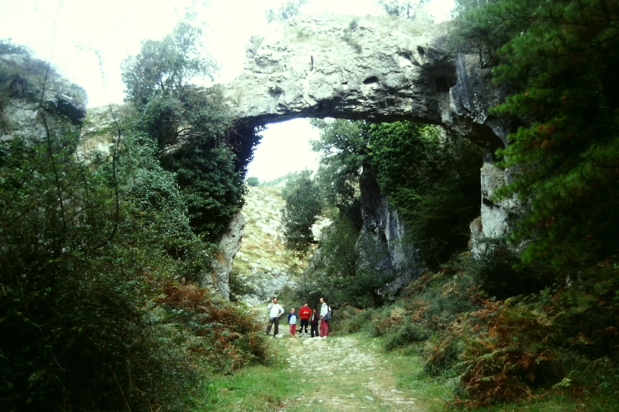 Photo showing: Natural bridge in Dima (Bizkaia)