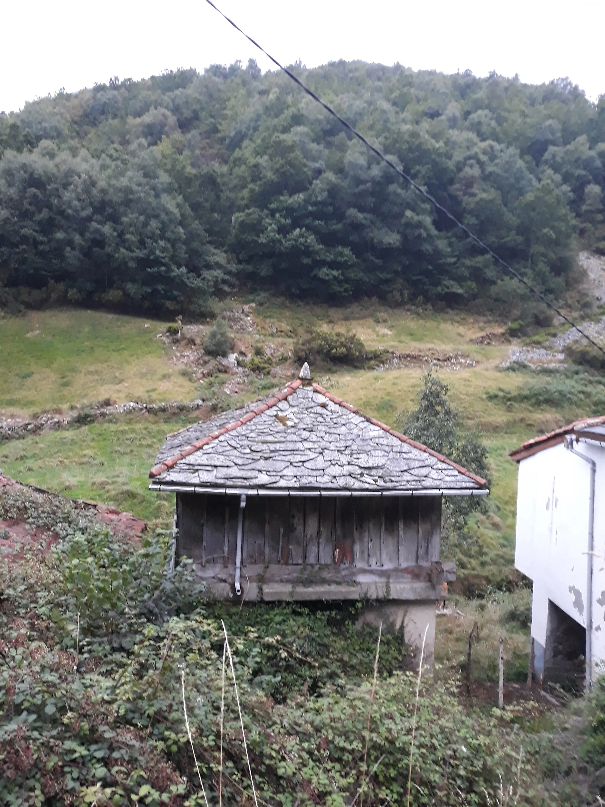 Photo showing: Primitive Way of Saint James in the Nison River valley, La Reigada, Pola de Allande, Asturias, Spain.