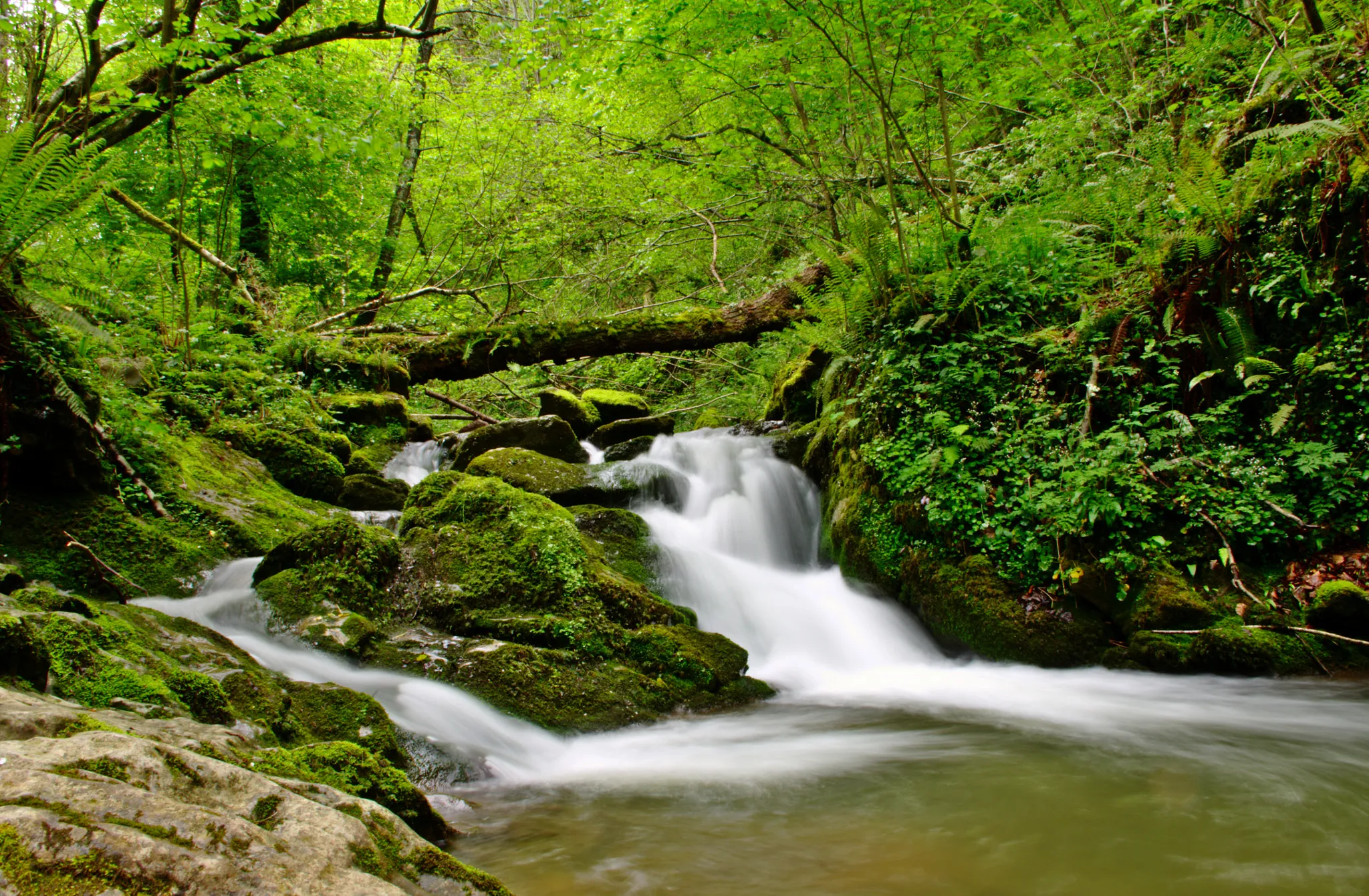 Photo showing: 500px provided description: Arroyo De Las Xanas [#water ,#river ,#Spain ,#Asturias ,#Espana ,#Xanas]