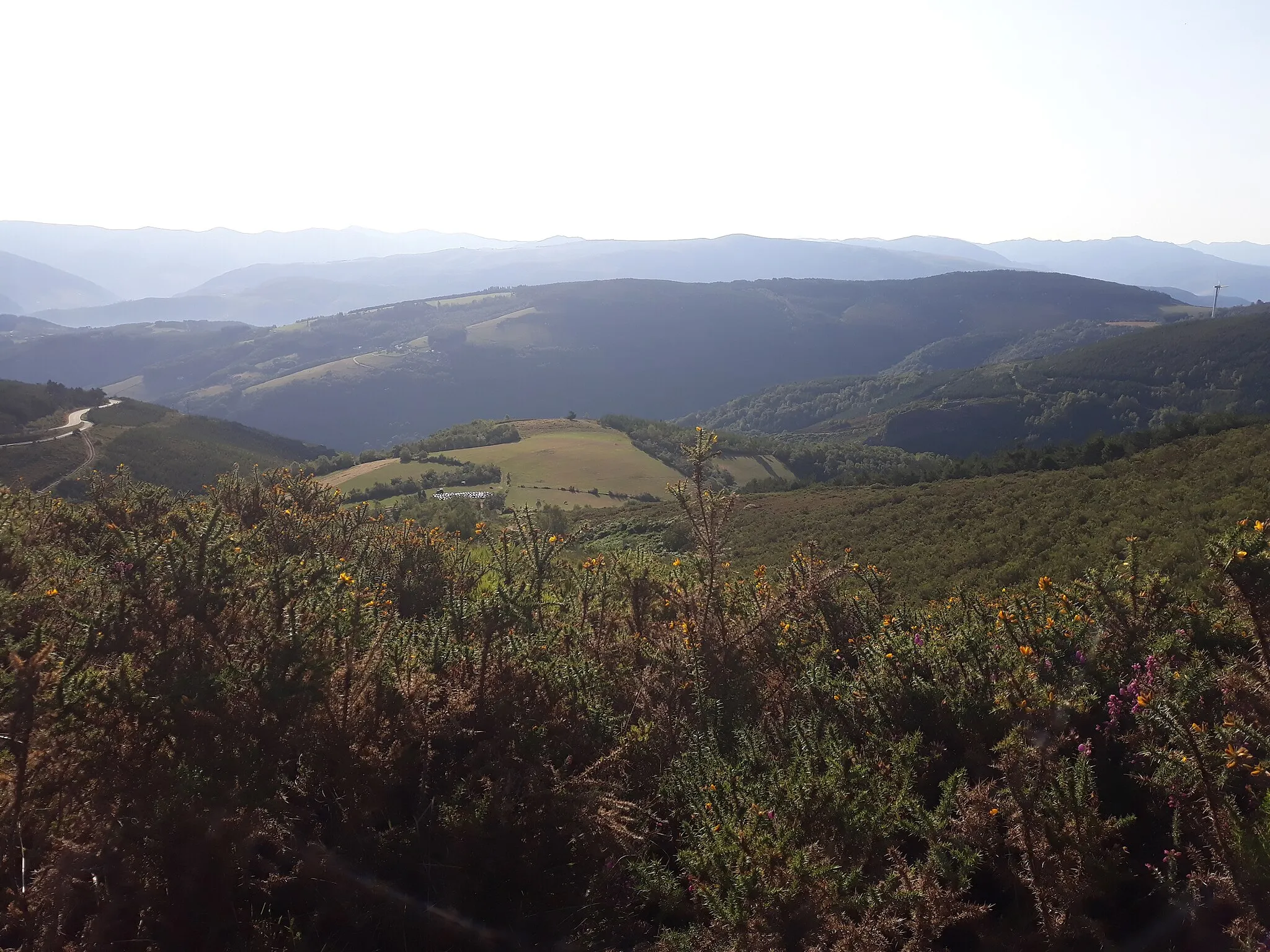 Photo showing: Primitive Way of Saint James climbing Monte da Curiscada, Bustelo del Camín, Penafonte, Grandas de Salime, Asturias, Spain.