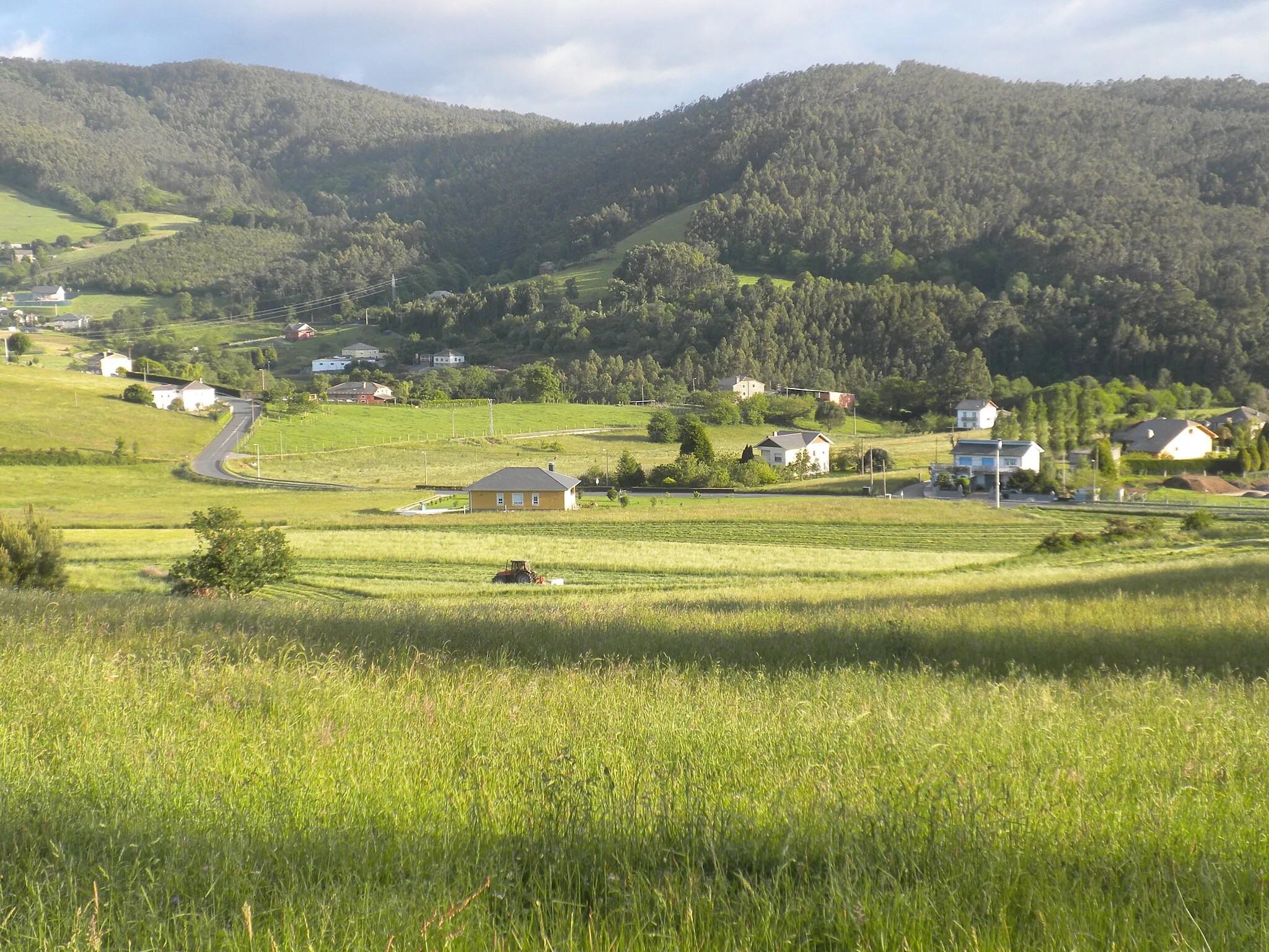 Photo showing: Vista parcial de Omedo