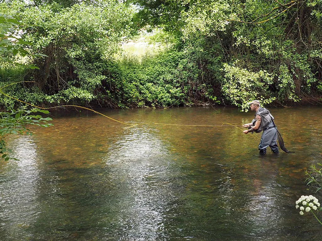 Photo showing: Pescador en río Cubia