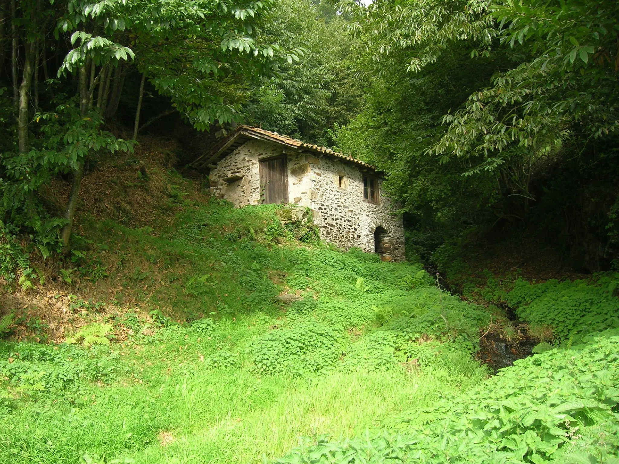 Photo showing: Molino de Bedures.