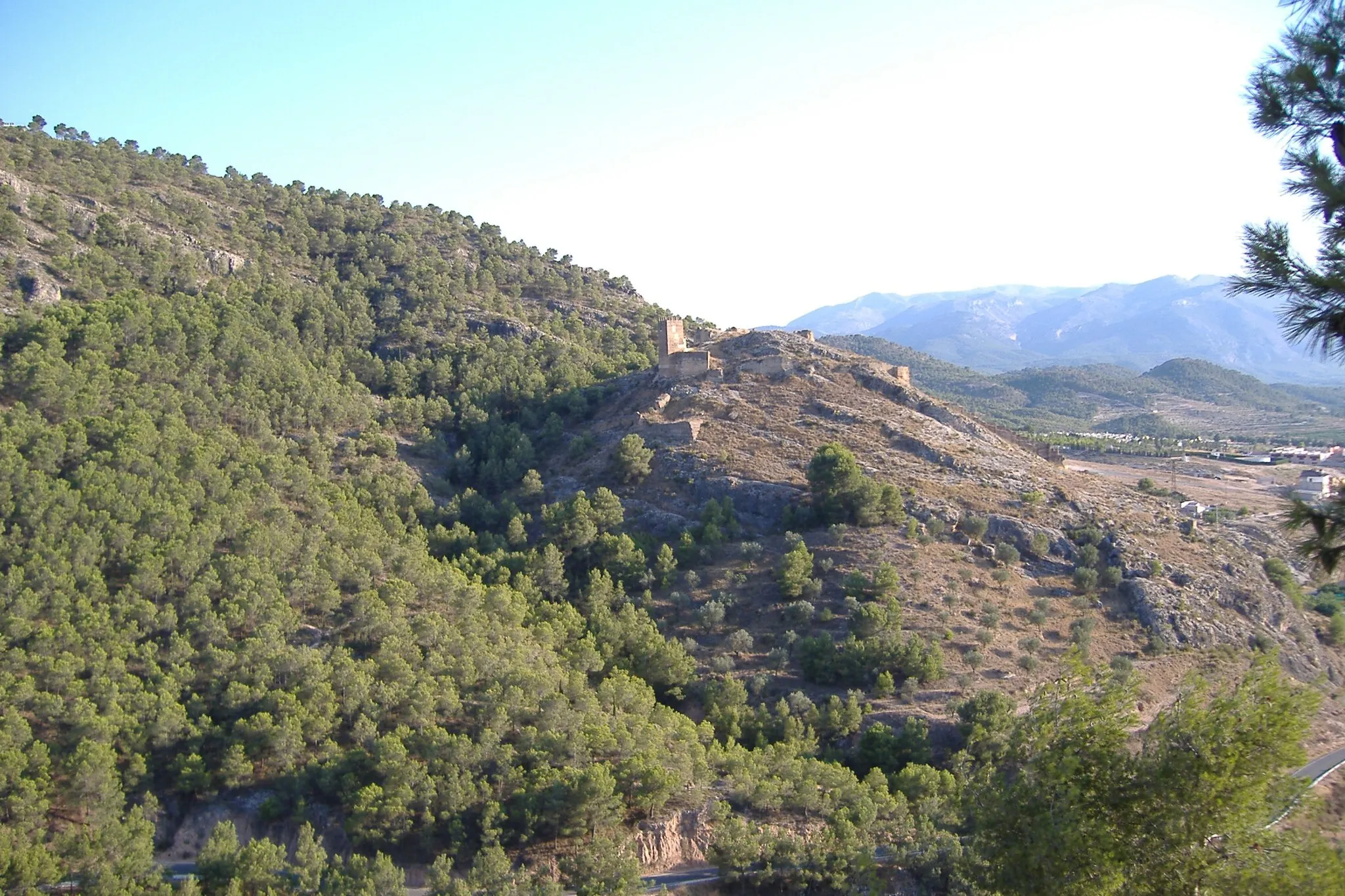 Photo showing: Castillo de Pliego (Murcia).