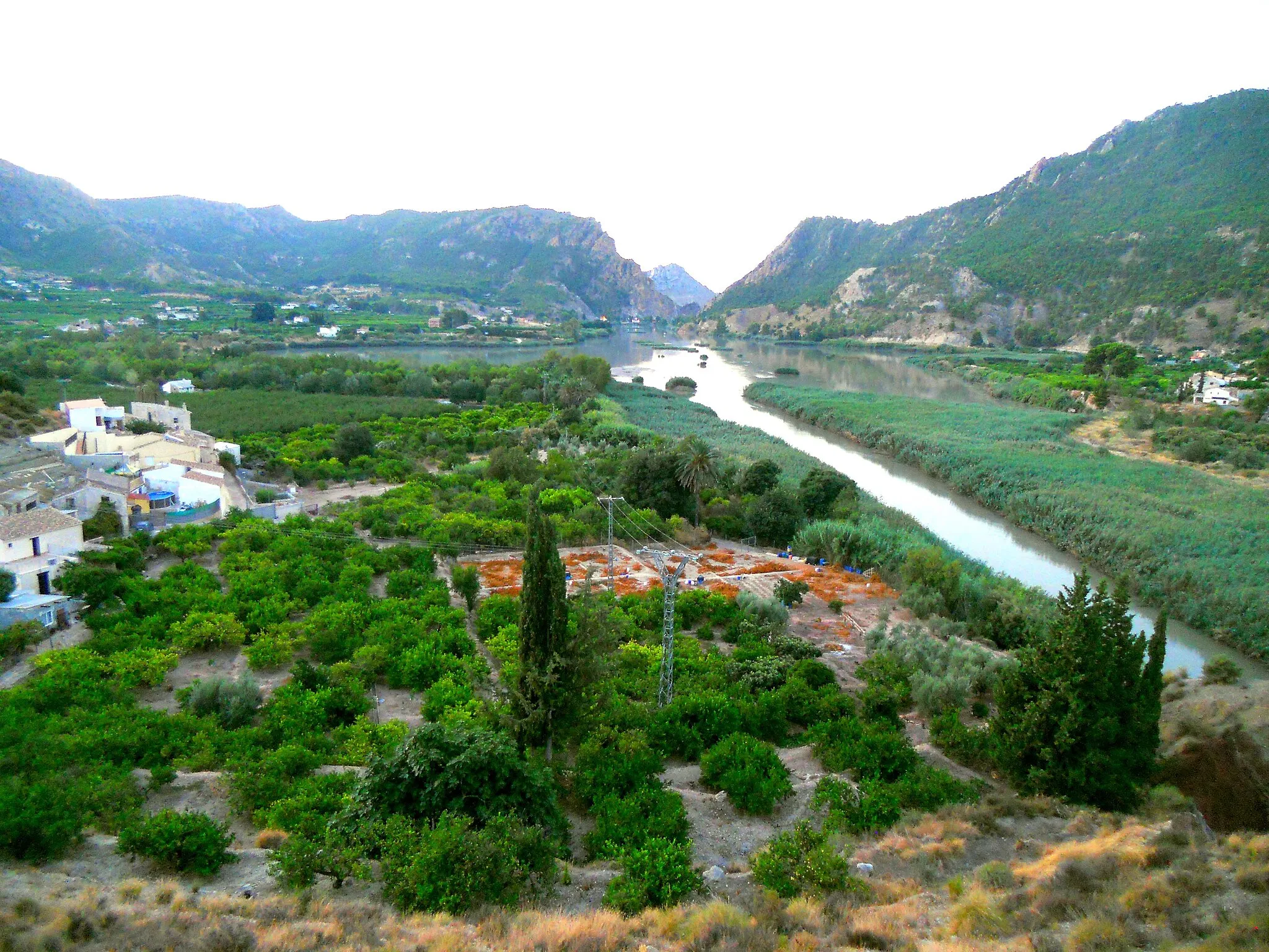 Photo showing: Río Segura y Azud de Ojós desde el mirador de Blanca.