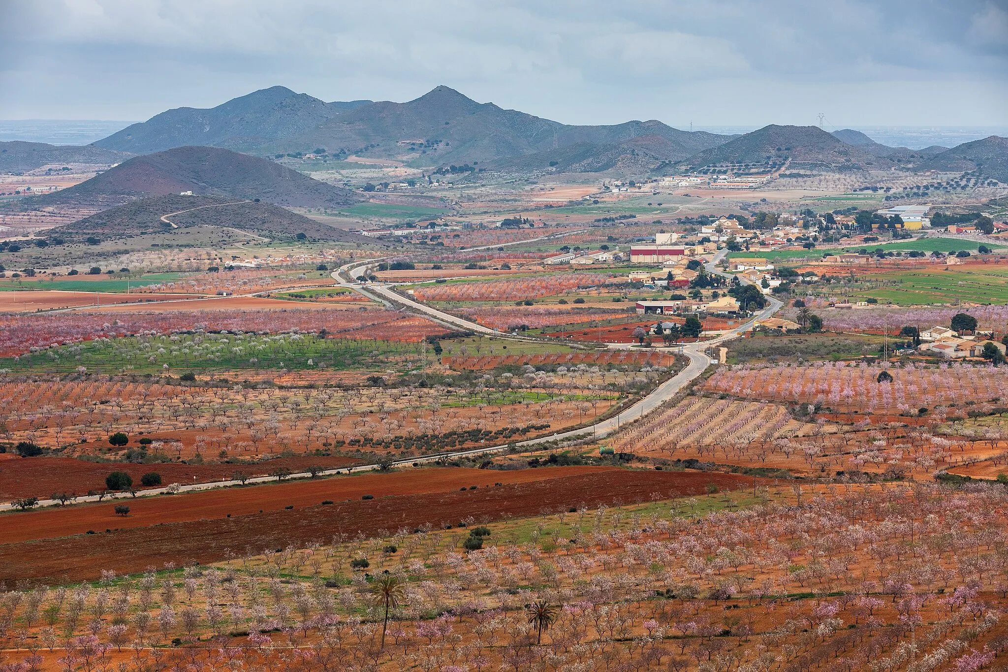 Photo showing: An agricultural landscape around Casas de Tallante in Campo Nubla, Cartagena, Murcia, Spain in 2022 January. The road is RM-332. Particularly almond cultivation is present in the local agriculture, which are the trees with white or pink flowers.