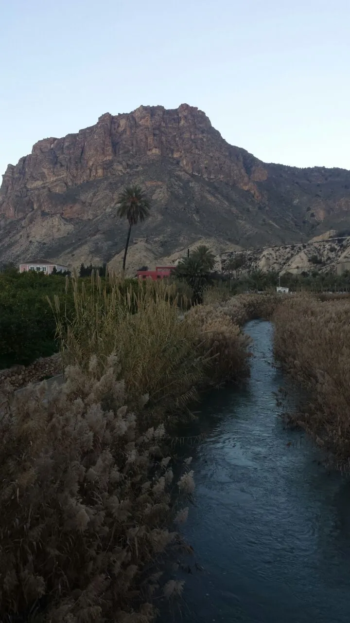Photo showing: Imagen del río Segura a su paso por la huerta de la localidad de Ojós (Región de Murcia, España). Paraje del morisco Valle de Ricote.