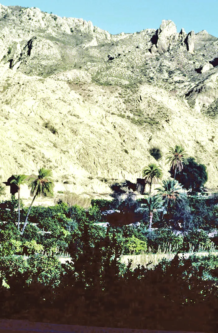 Photo showing: Fields and hills at Ojós, Region of Murcia, Spain