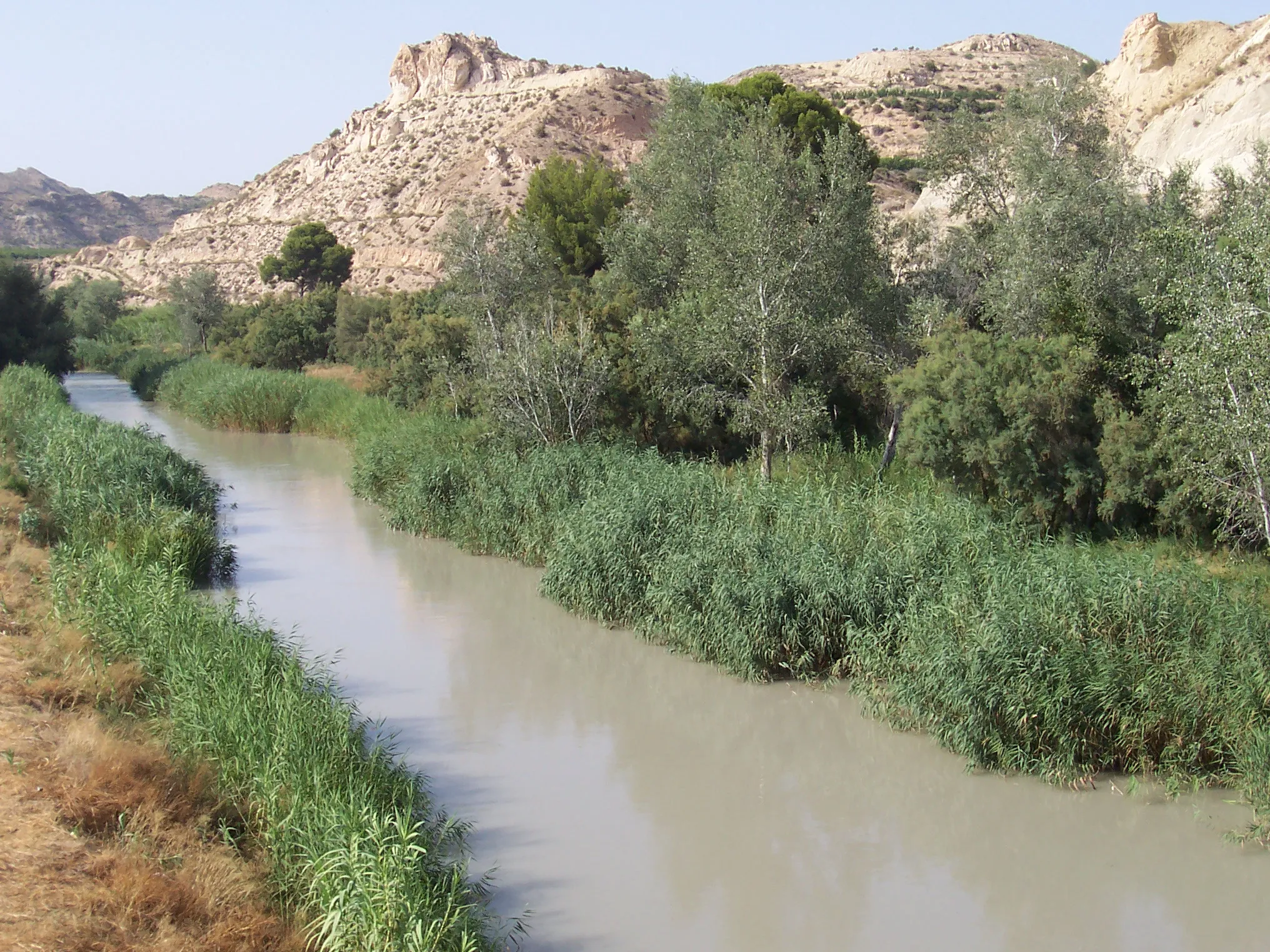 Photo showing: El Río Segura a su paso por Archena