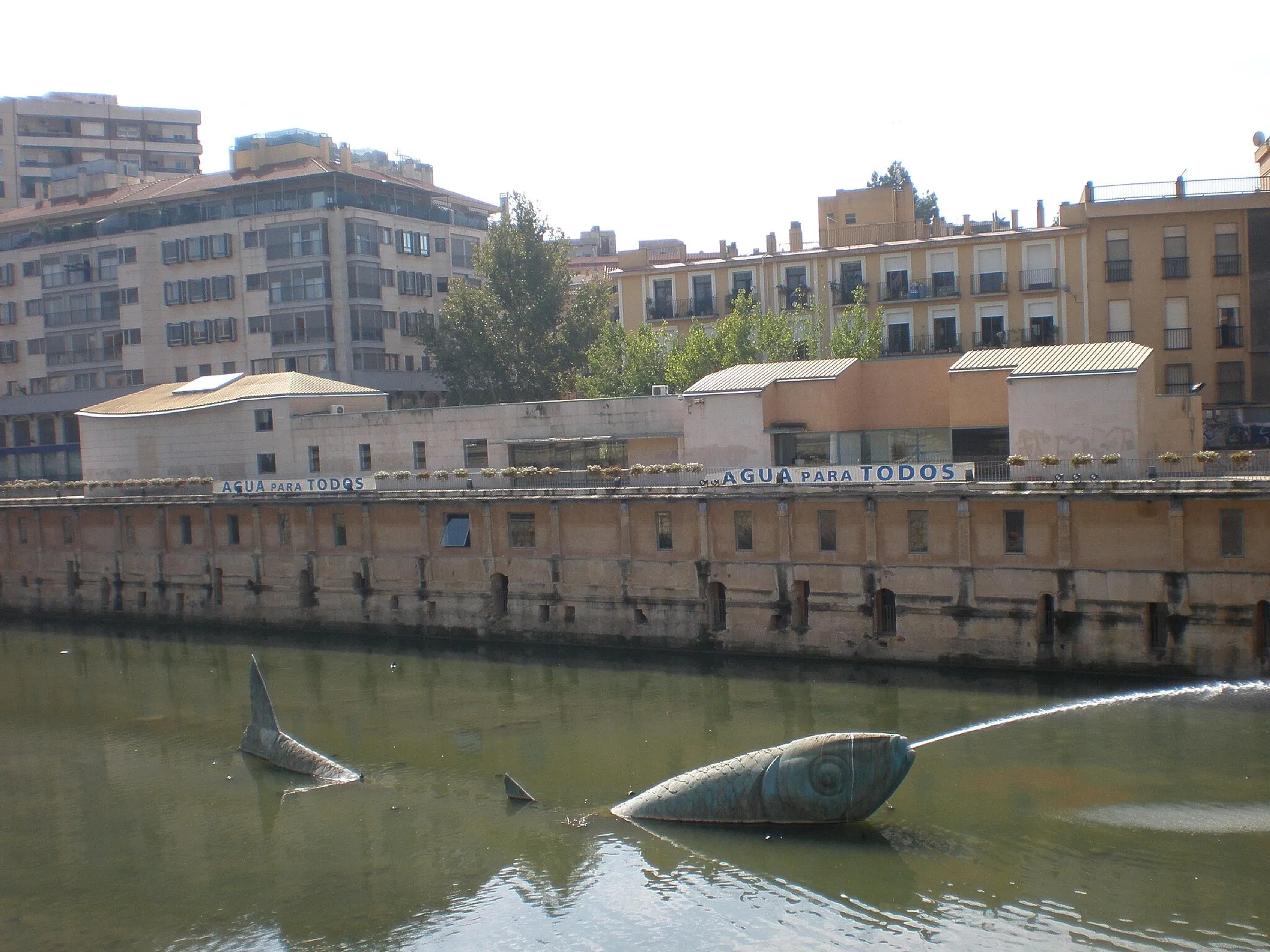 Photo showing: The stranded sardine on the river Segura and Los Molinos del Río hydraulic museum, Murcia (Spain)
