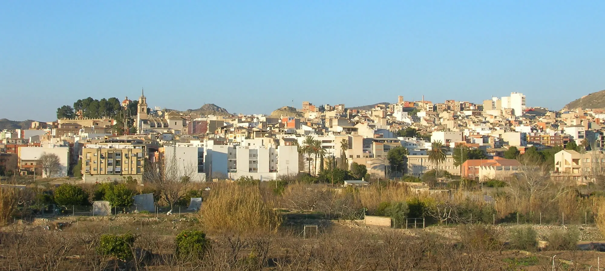 Photo showing: Vista general de Abarán, Murcia, España, desde la carretera de Ojós, febrero de 2006. General view from Abarán, Murcia, Spain. Own picture given to PD.