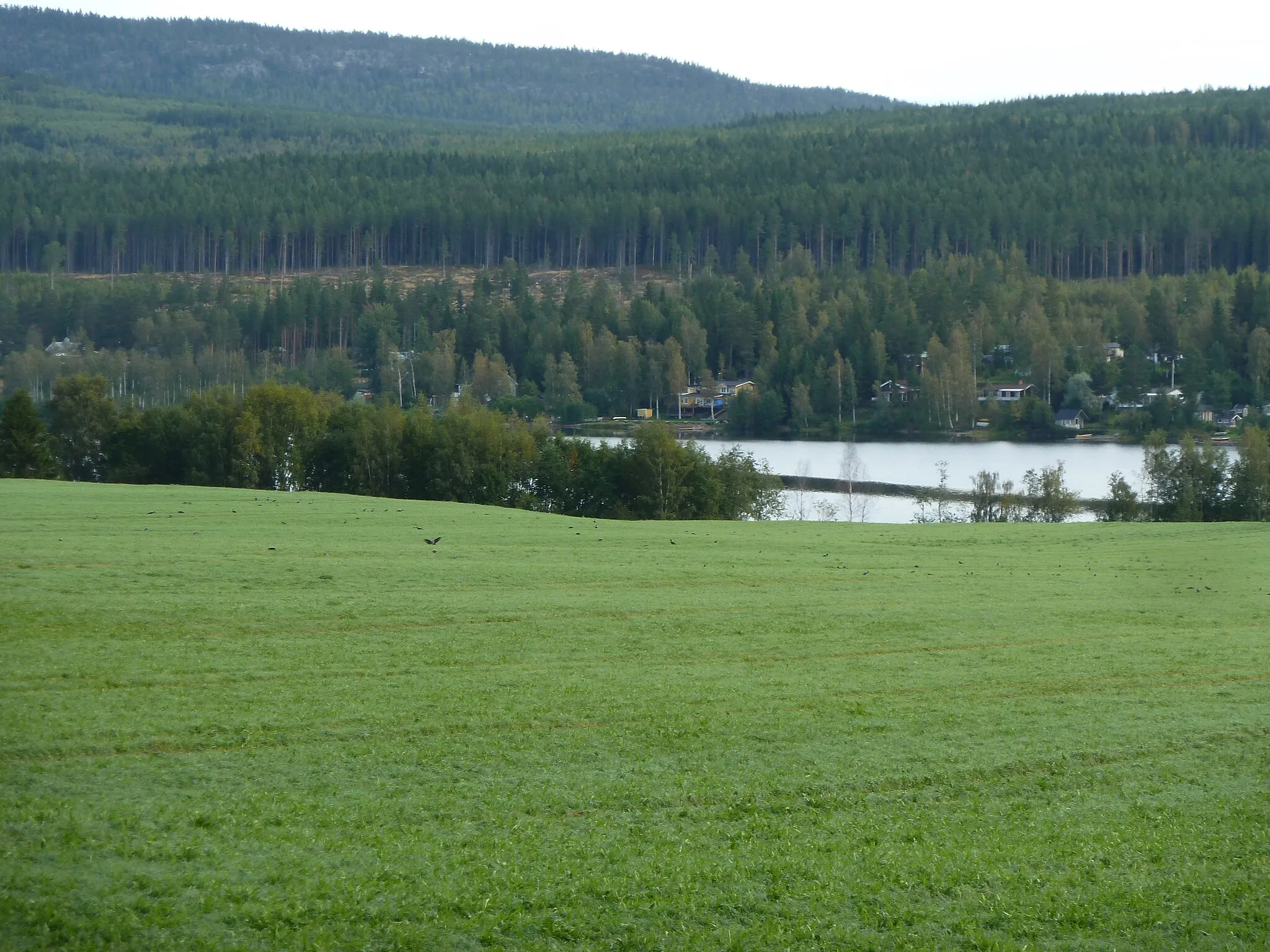 Photo showing: Happstafjärden, Örnsköldsvik, Sweden