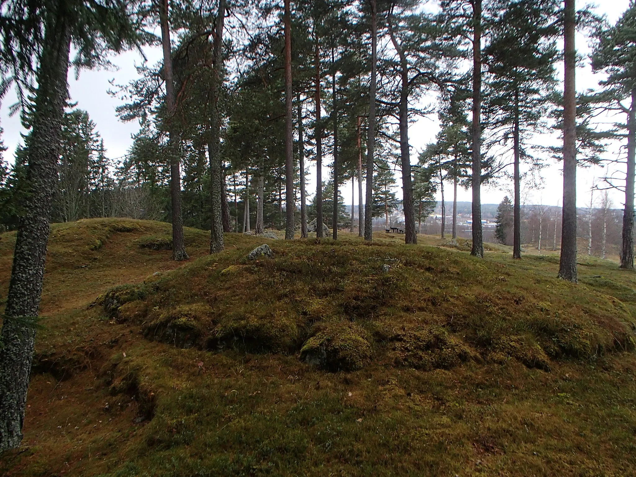 Photo showing: Grave field Skön 57:1 at Korsta in Sundsvall Municipality