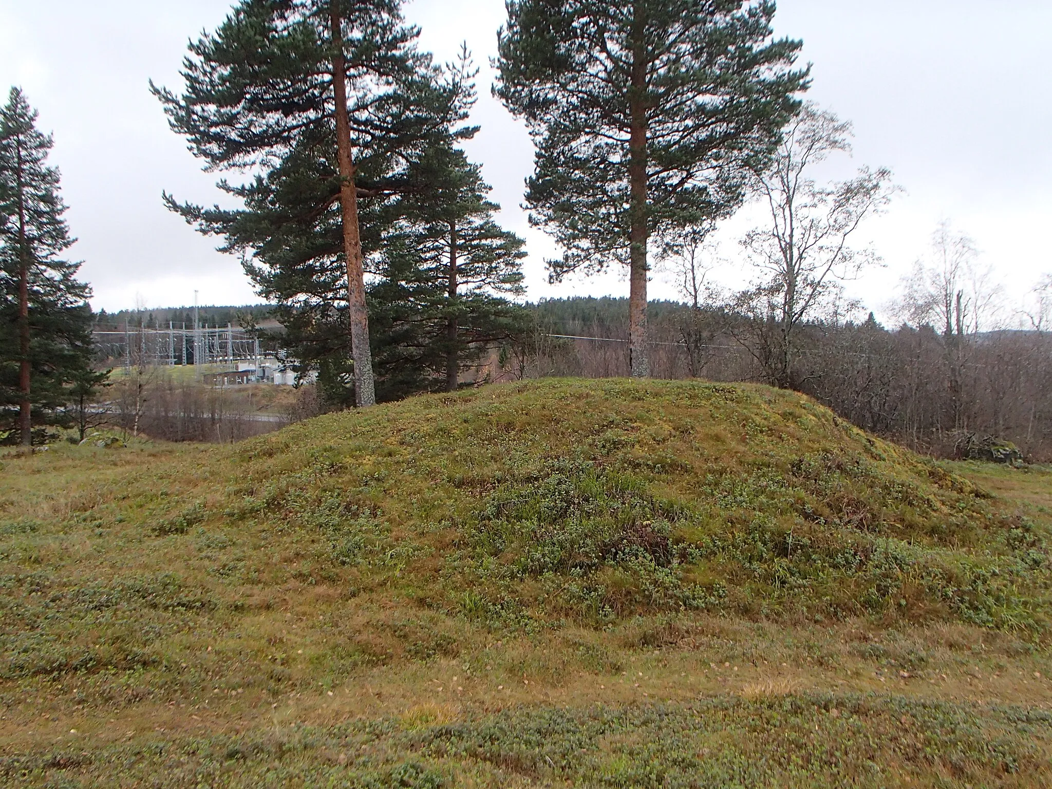 Photo showing: Grave field Skön 57:1 at Korsta in Sundsvall Municipality