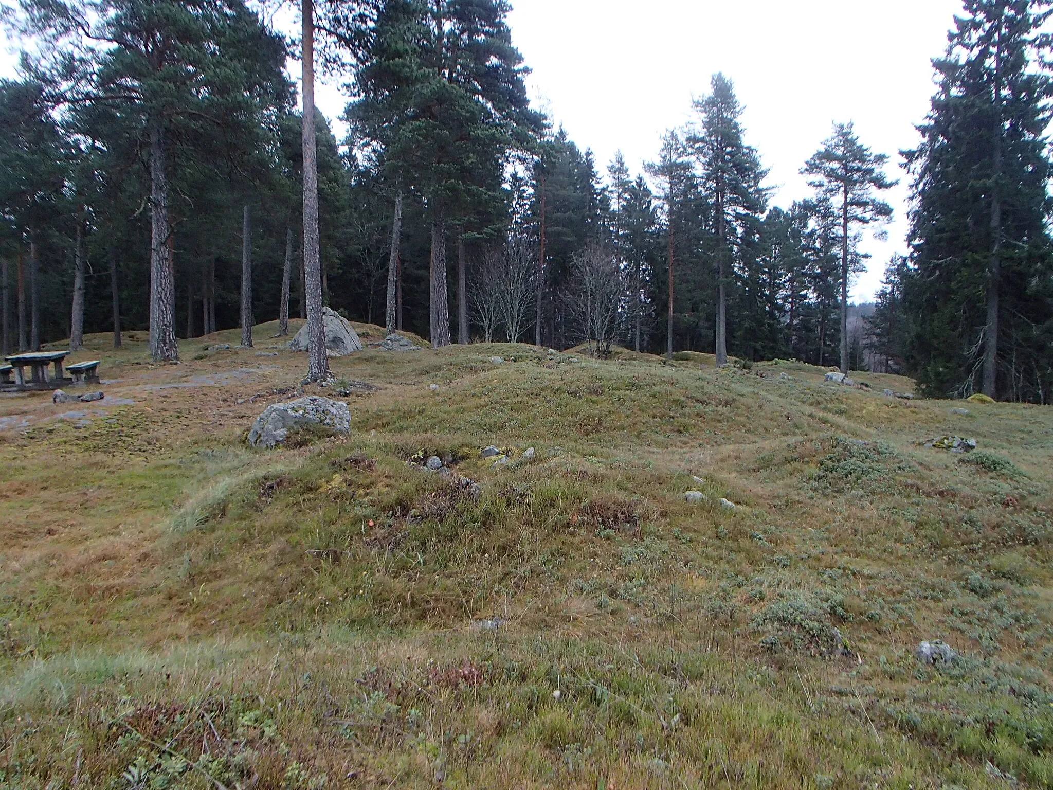Photo showing: Grave field Skön 57:1 at Korsta in Sundsvall Municipality