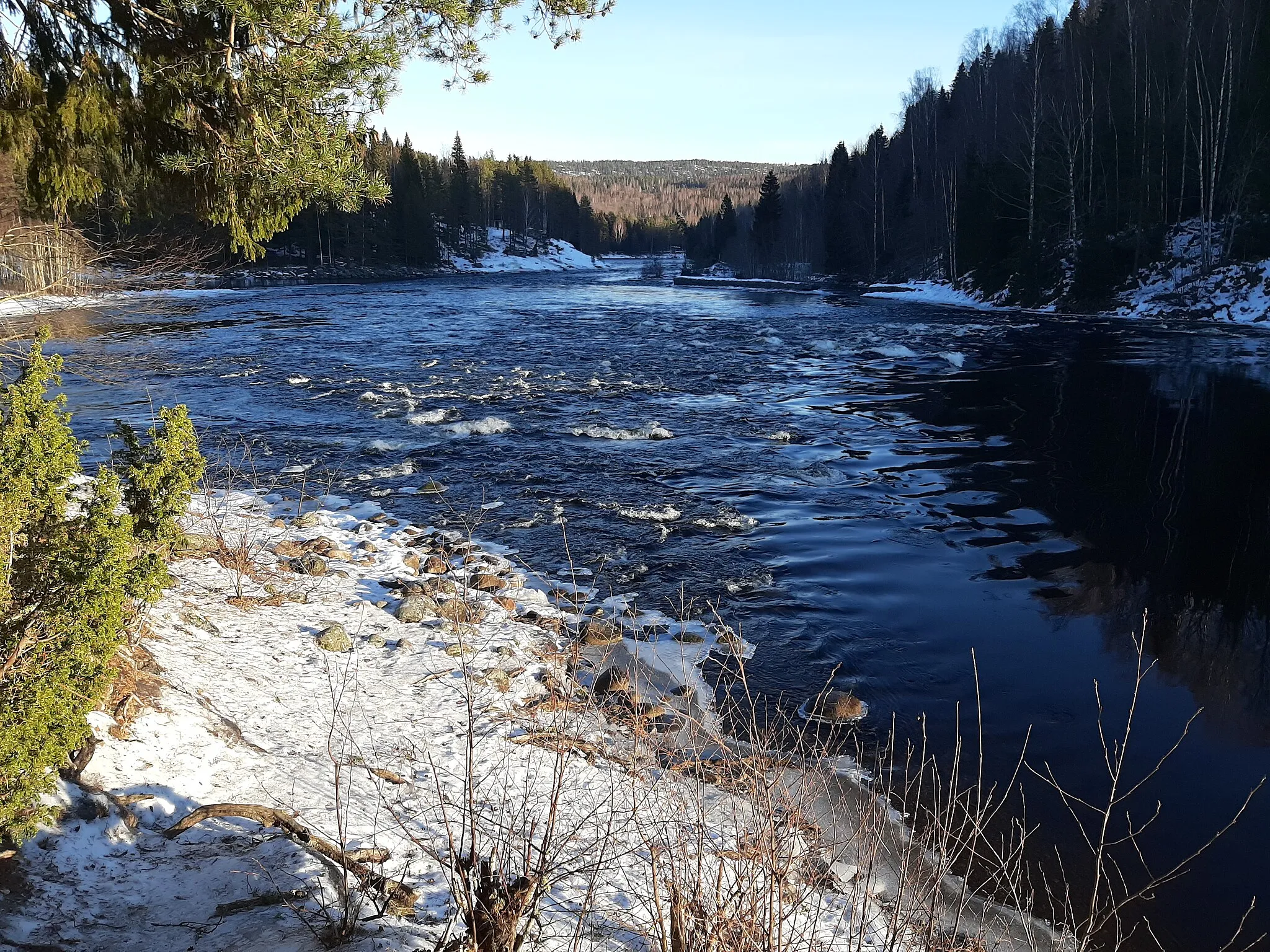 Photo showing: The Grenforsen nature reserve in Tunbyn, Sundsvall Municipality, Sweden